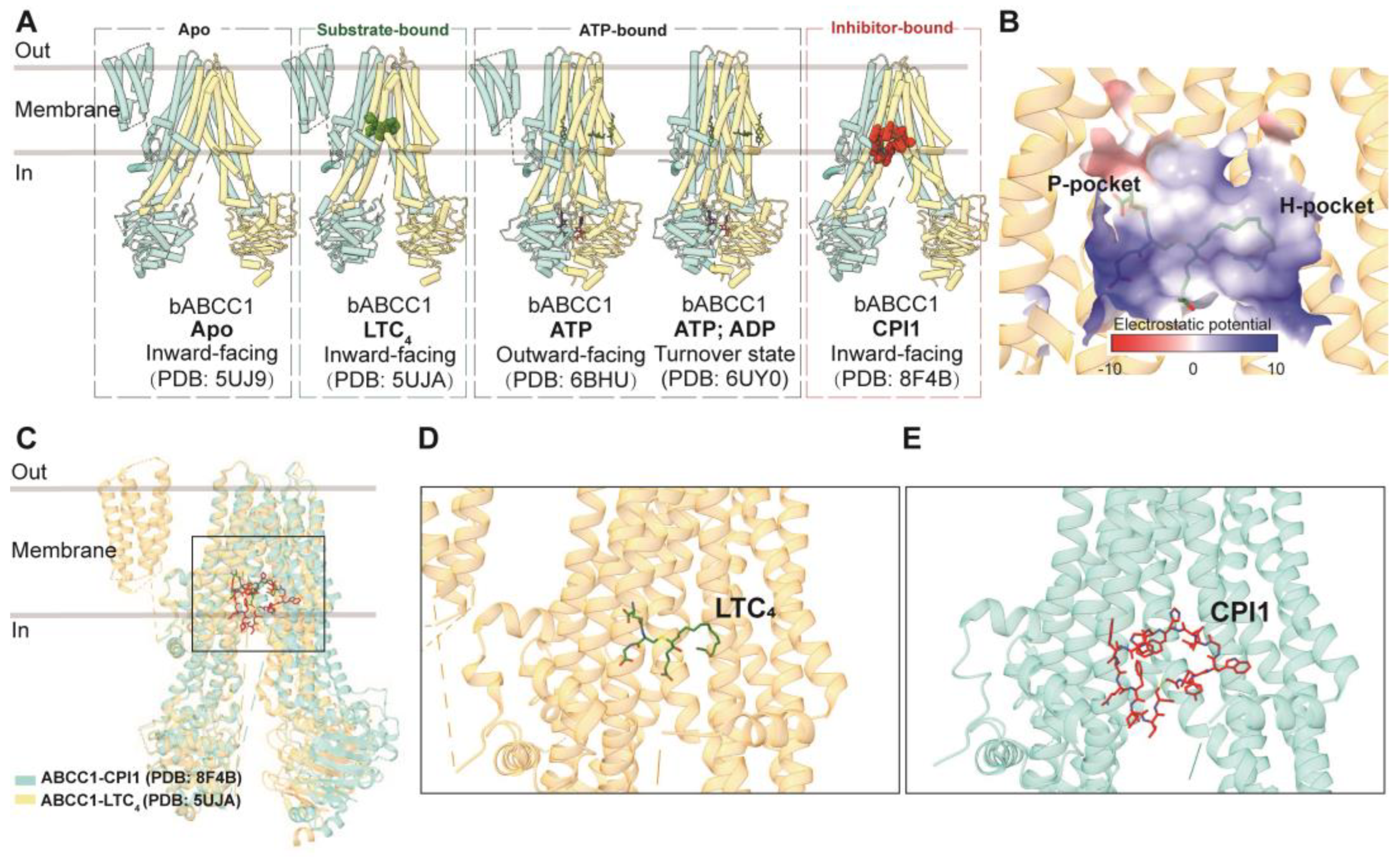Biomolecules 14 00231 g004 Biomolecules 14 00231 g004