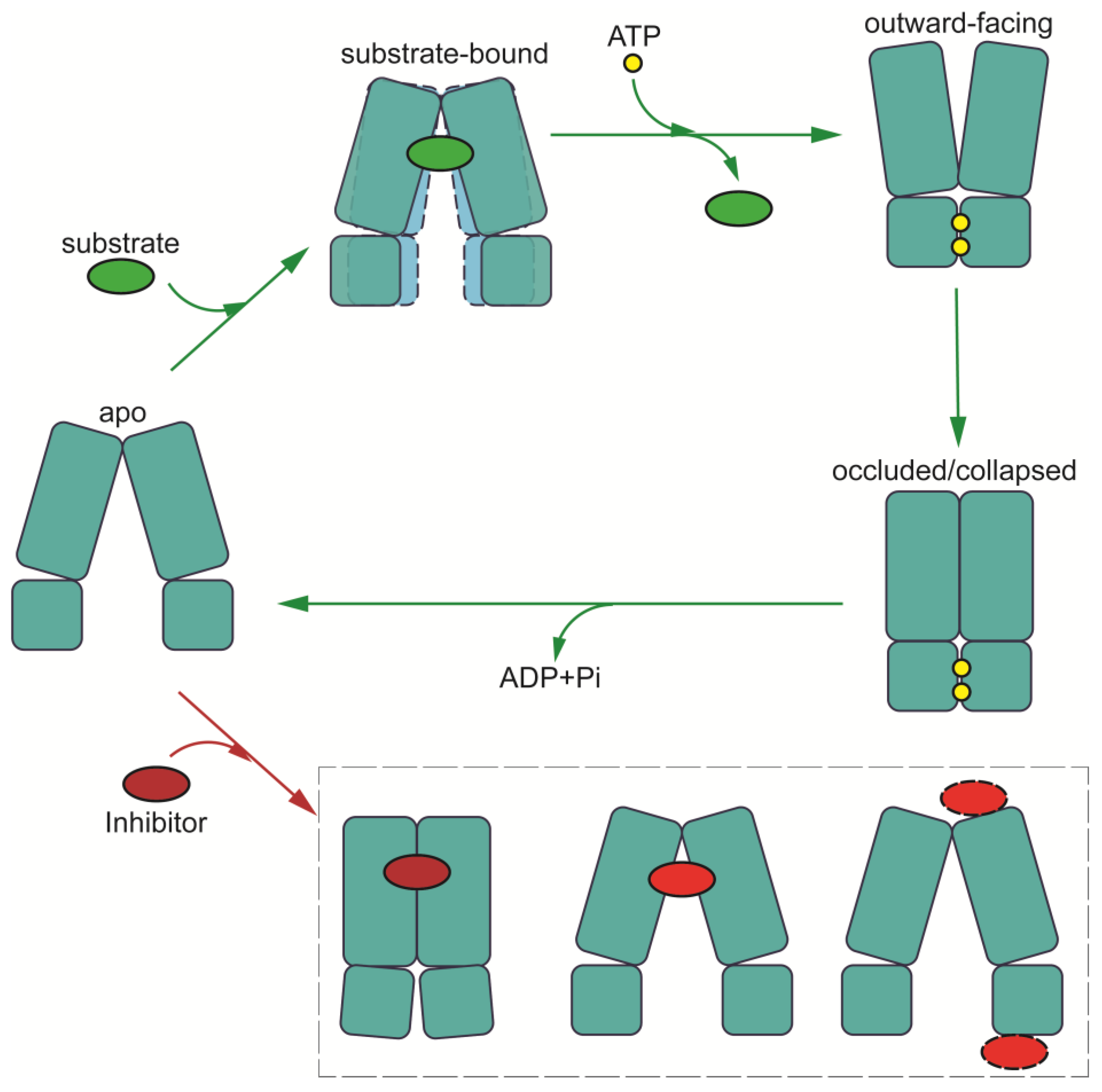 Biomolecules 14 00231 g007 Biomolecules 14 00231 g007