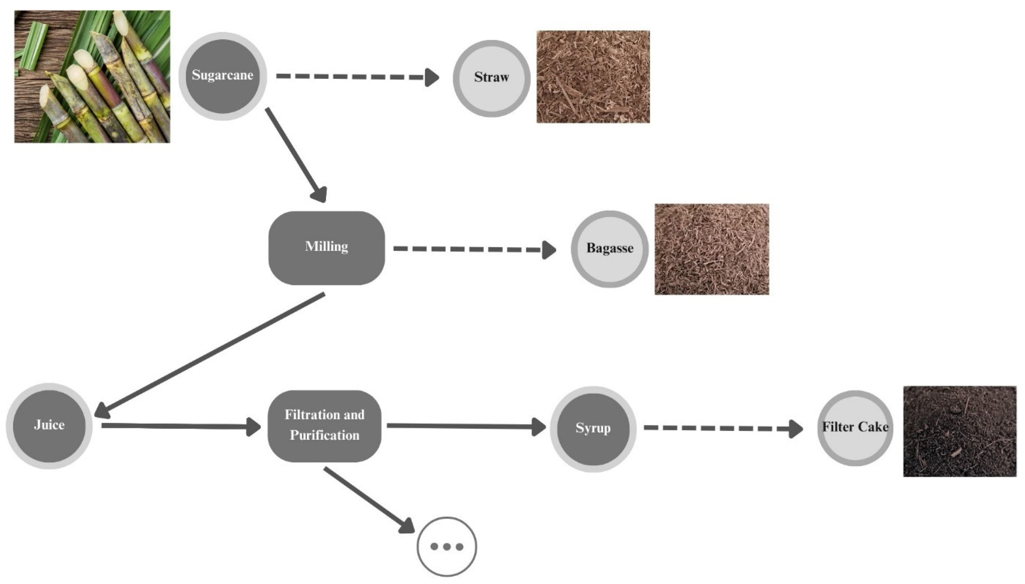 Biomolecules 14 00233 g001