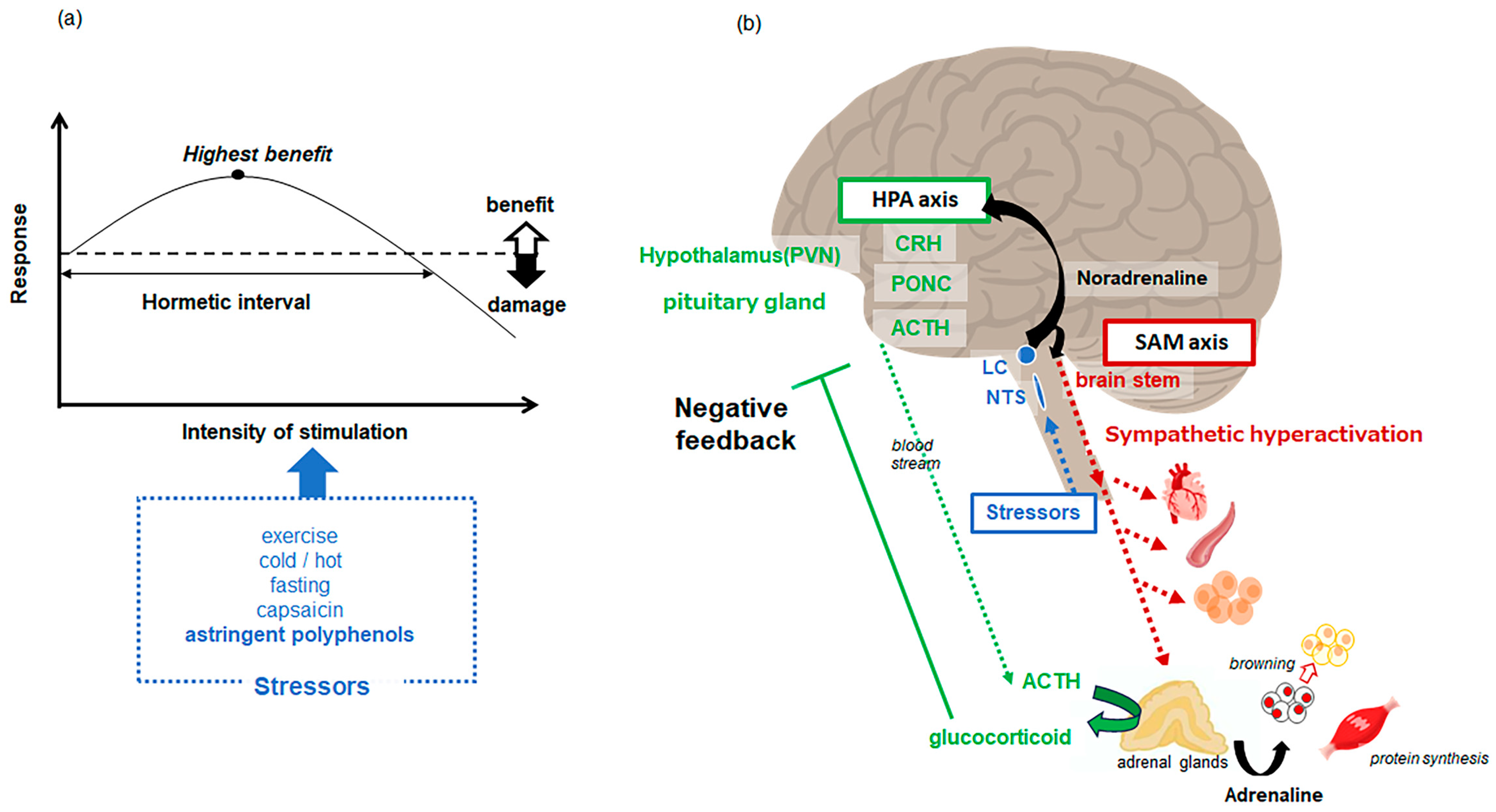 Biomolecules 14 00234 g002