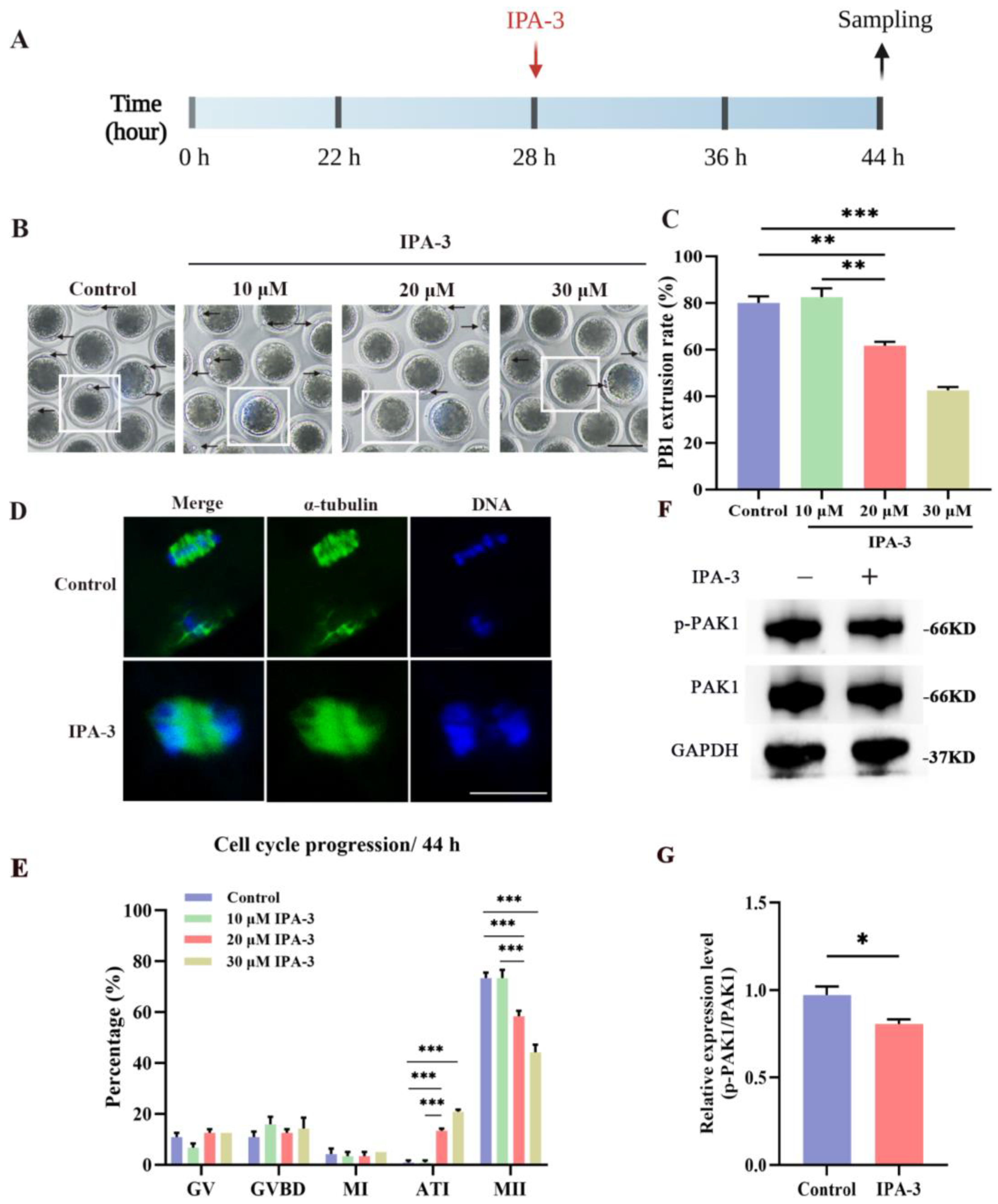 Biomolecules 14 00237 g002