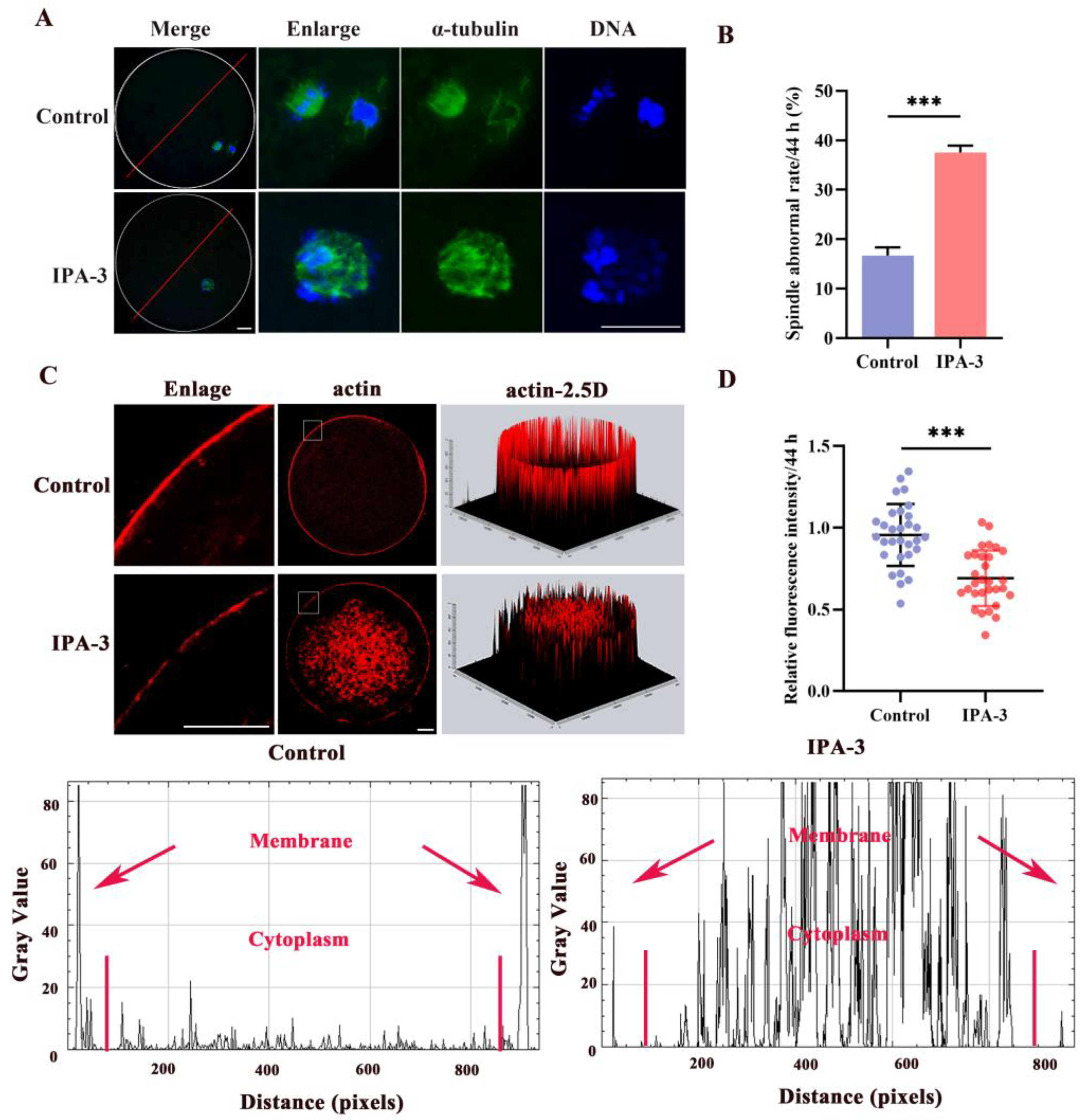 Biomolecules 14 00237 g003