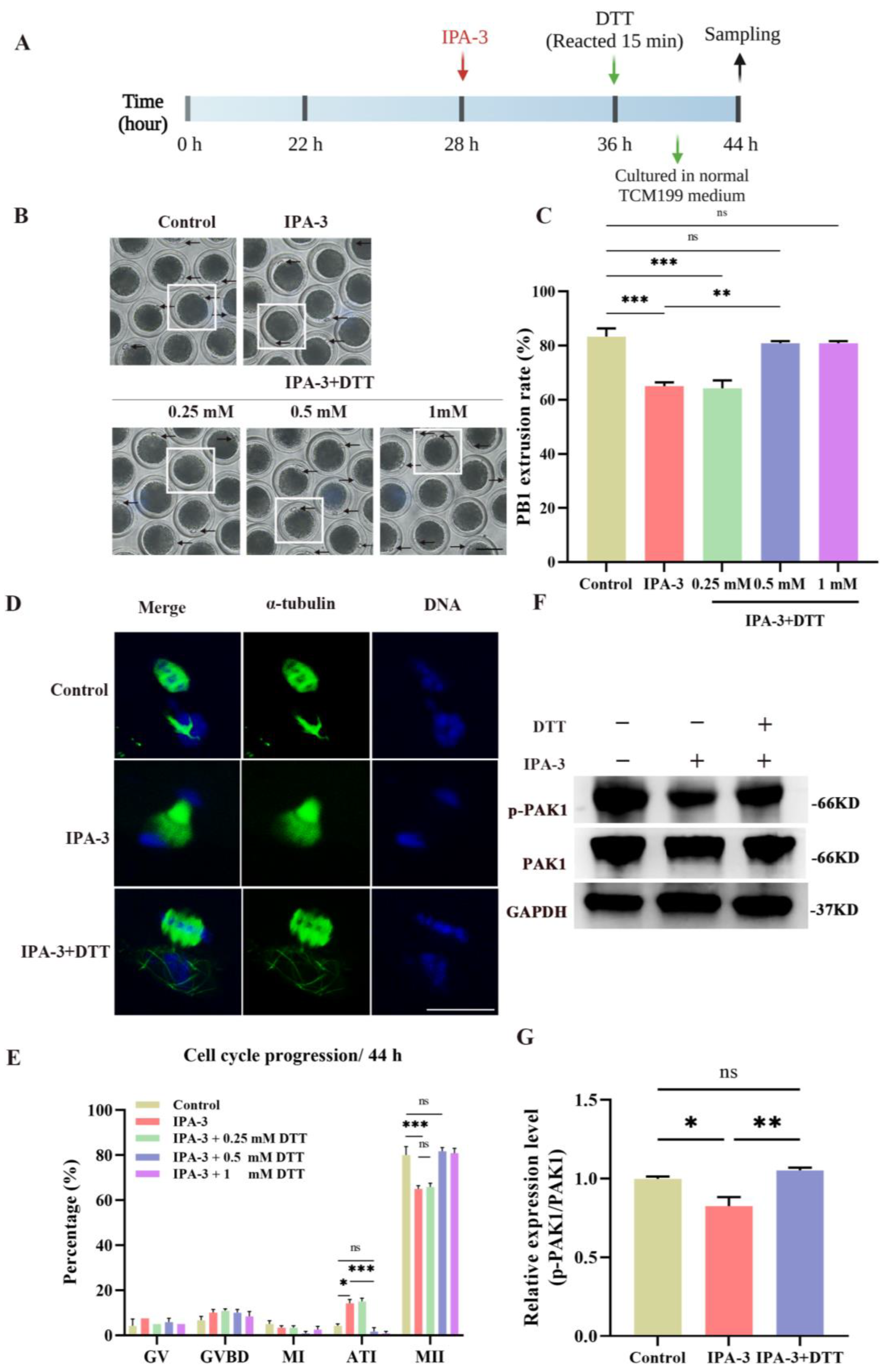 Biomolecules 14 00237 g004
