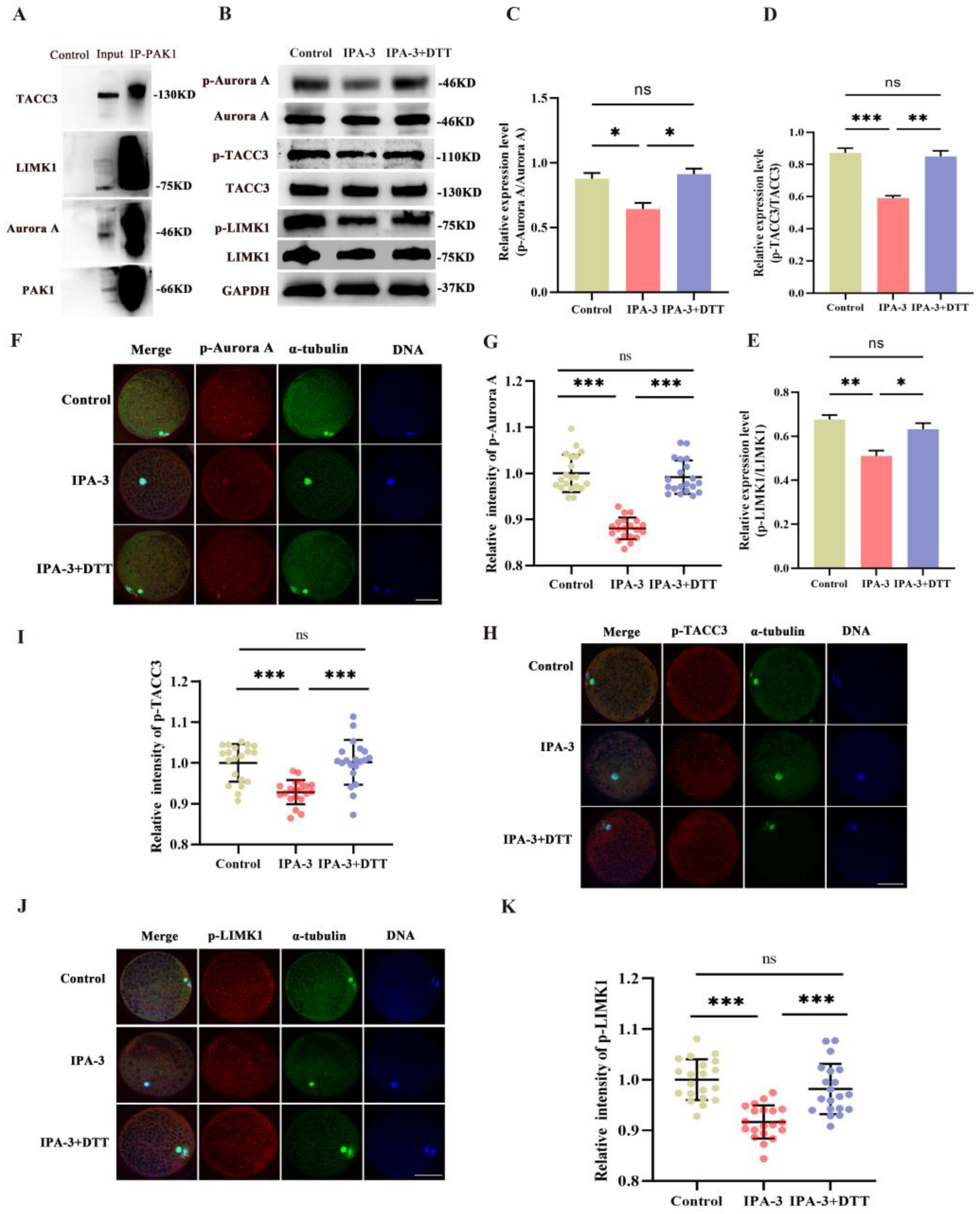 Biomolecules 14 00237 g006