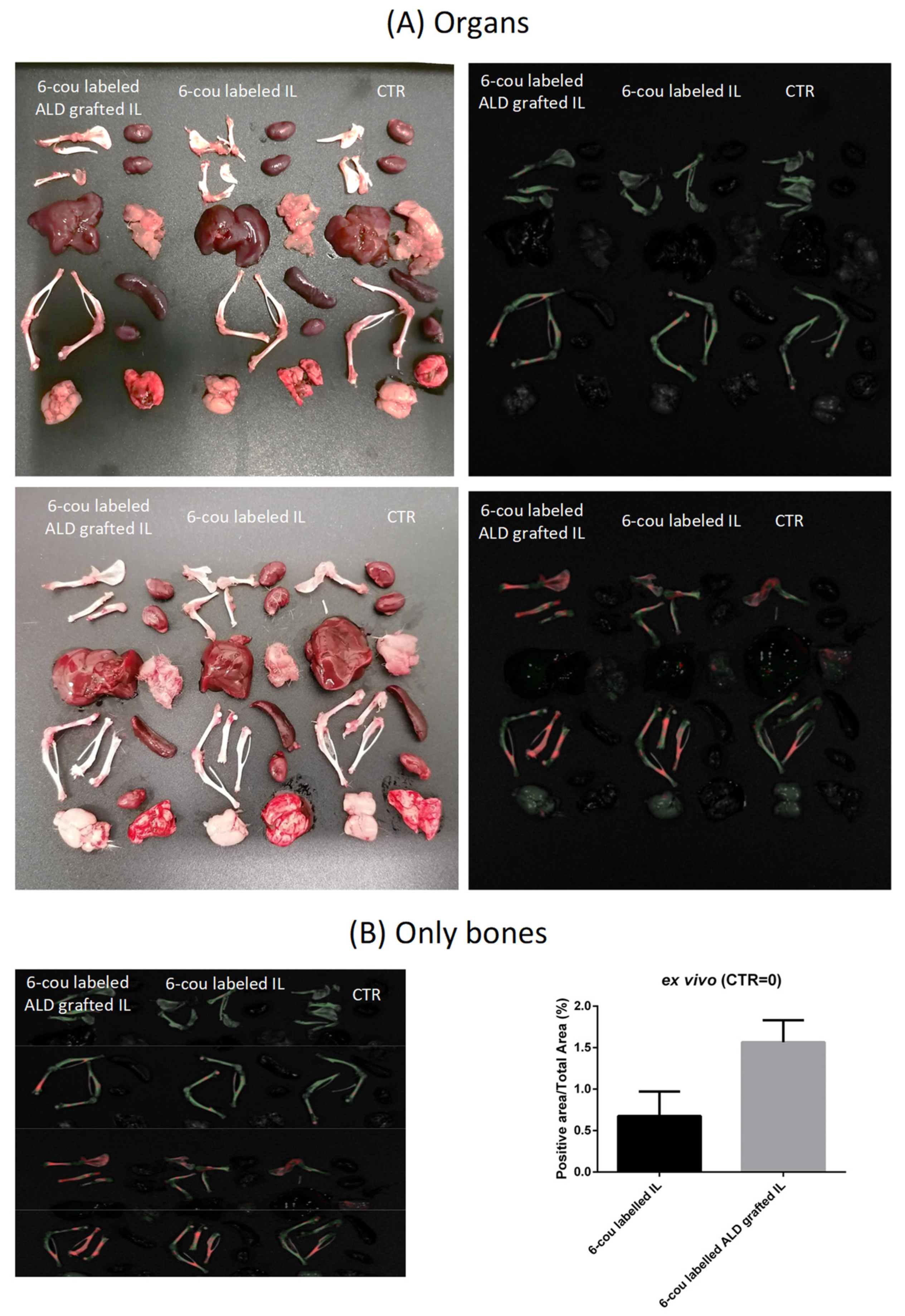 Biomolecules 14 00238 g004