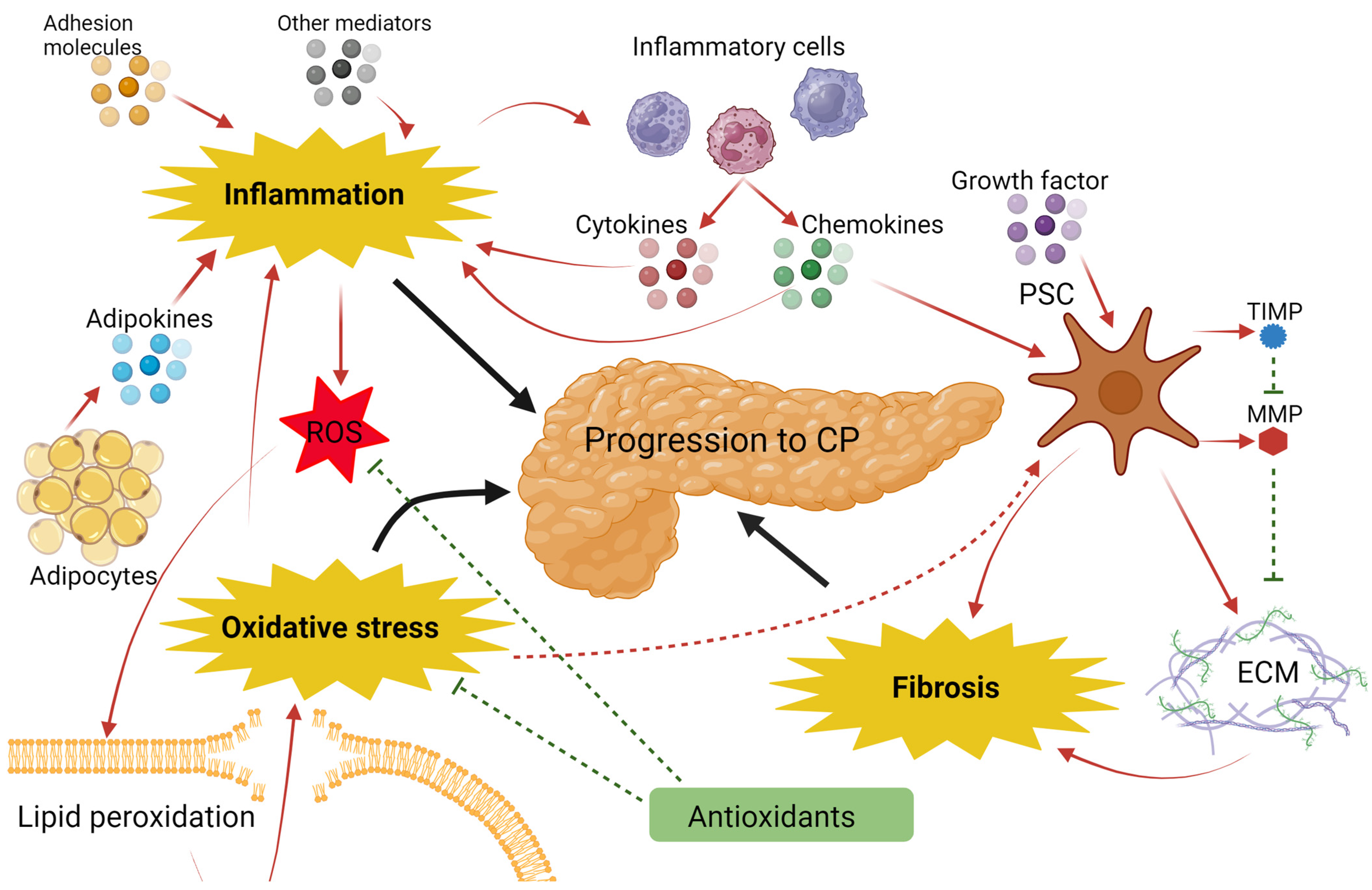 Biomolecules 14 00239 g004 Biomolecules 14 00239 g004