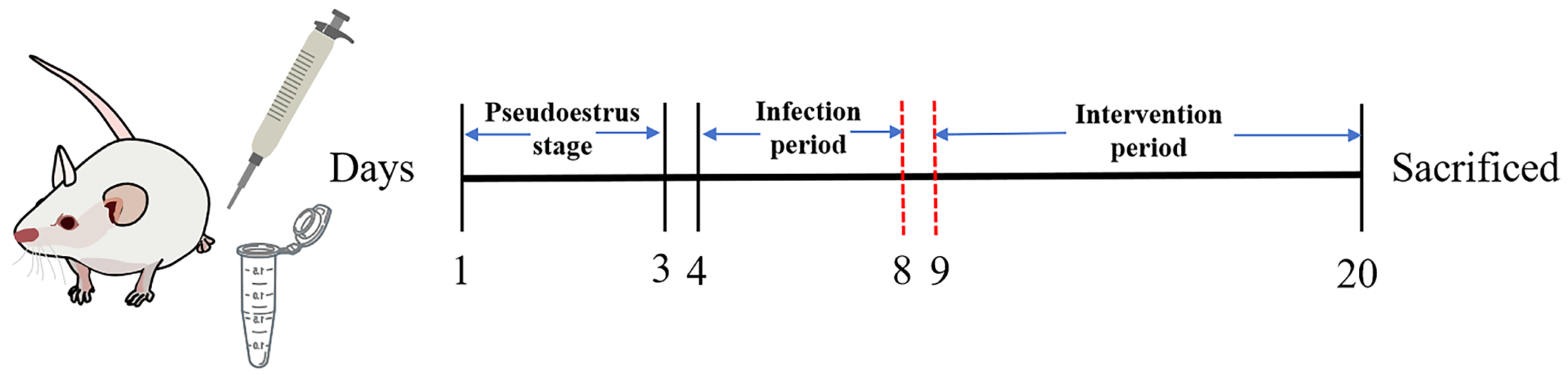 Biomolecules 14 00240 g001