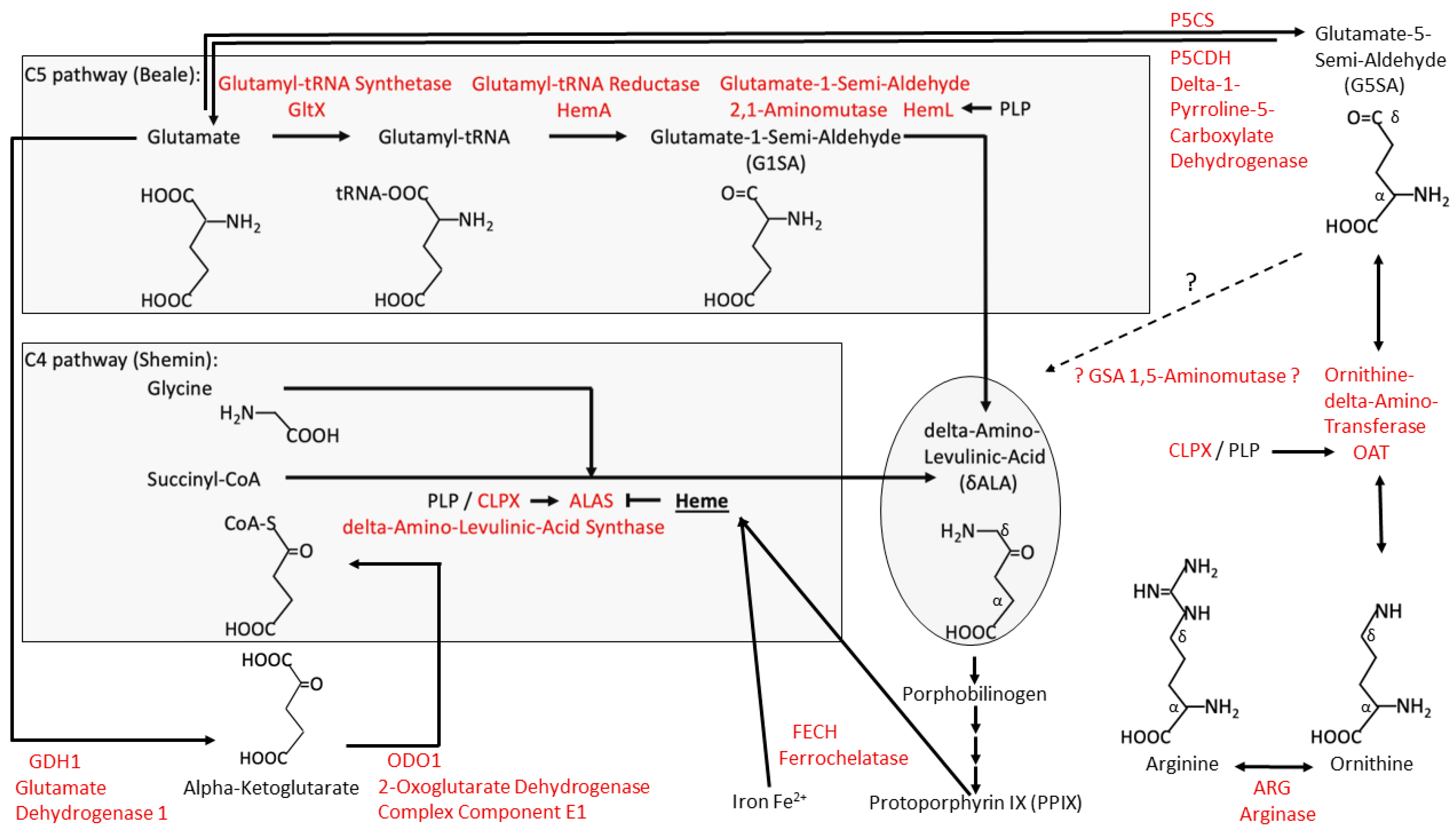 Biomolecules 14 00241 g001 Biomolecules 14 00241 g001
