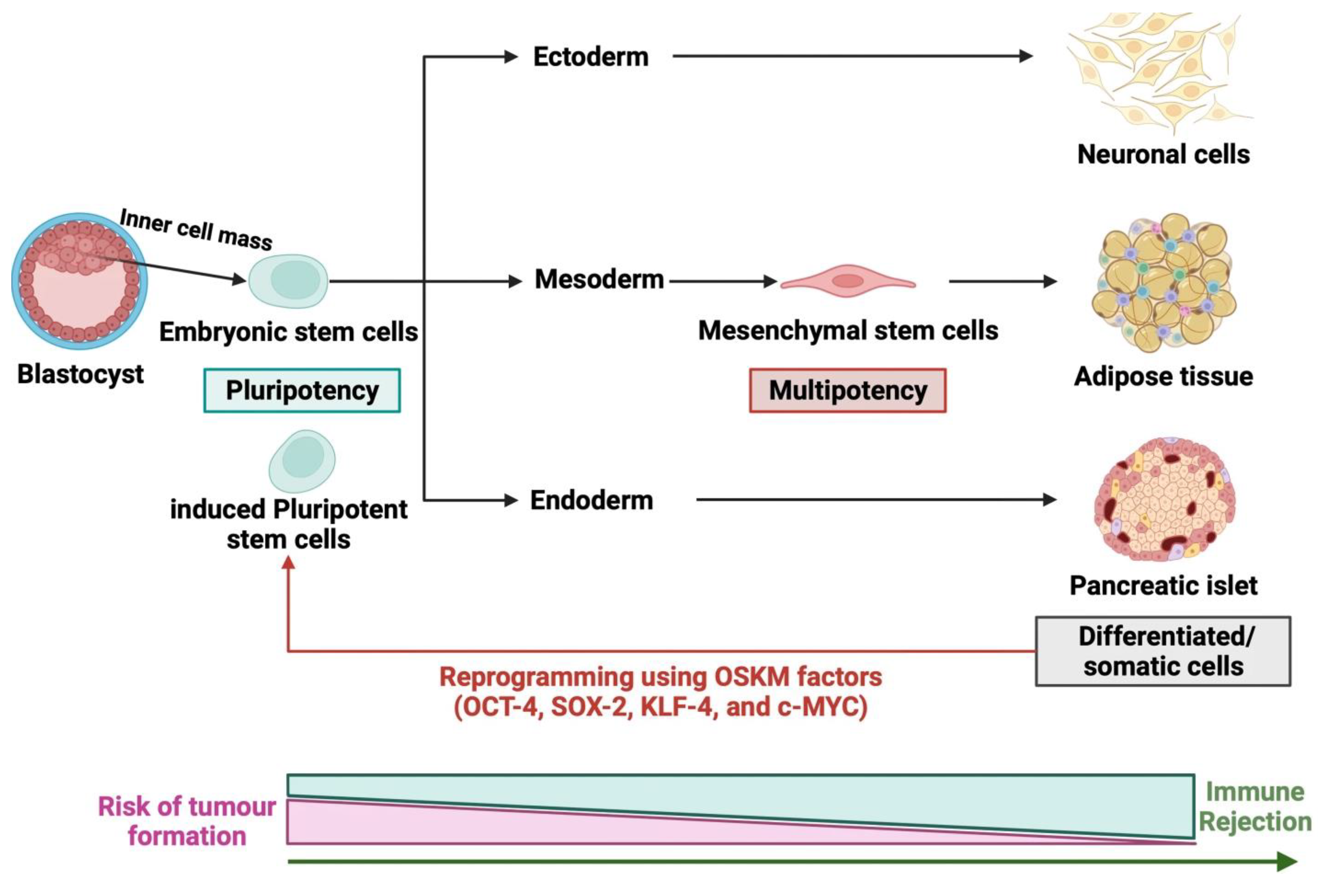 Biomolecules 14 00242 g002
