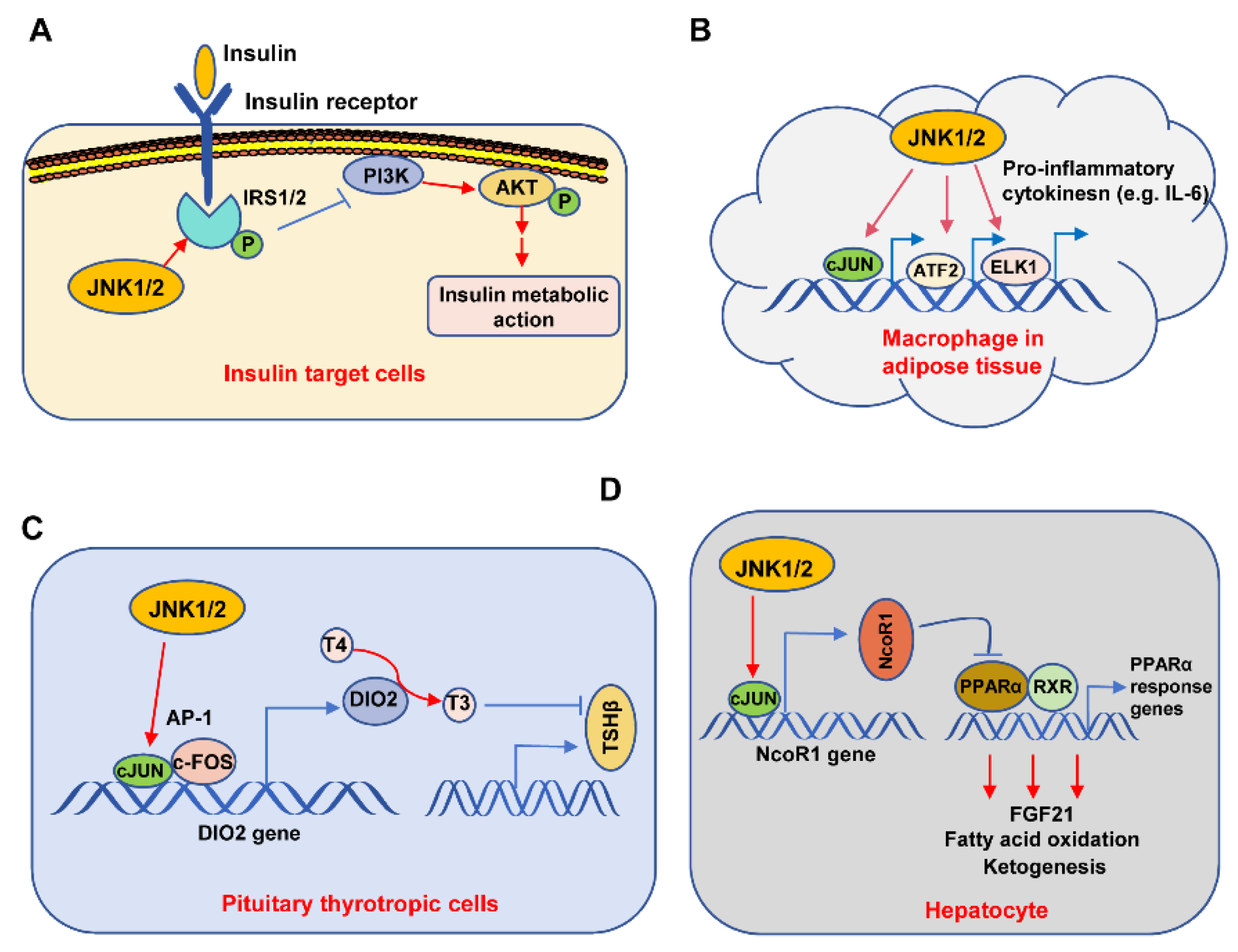 Biomolecules 14 00243 g005 Biomolecules 14 00243 g005
