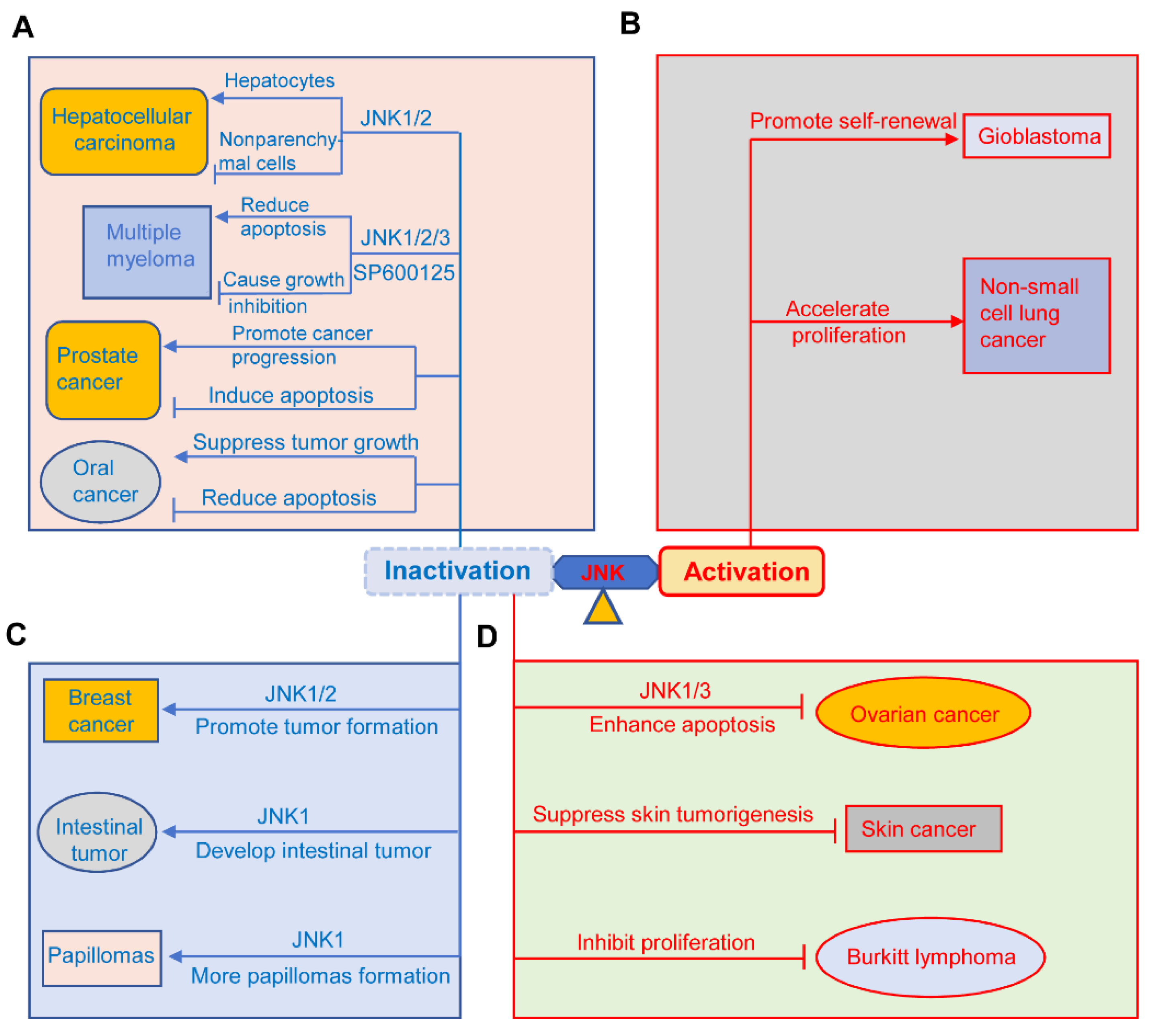 Biomolecules 14 00243 g006 Biomolecules 14 00243 g006