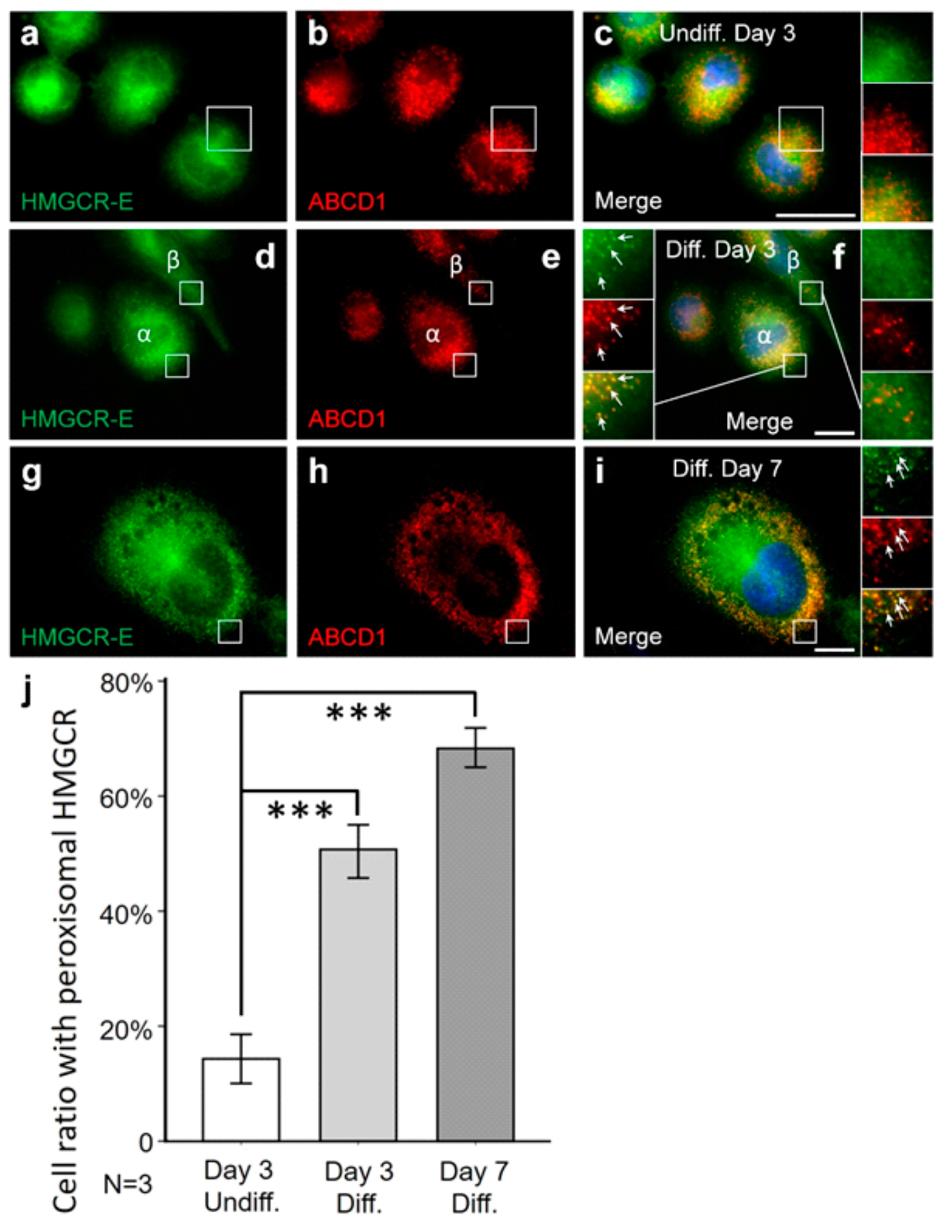 Biomolecules 14 00244 g002 Biomolecules 14 00244 g002