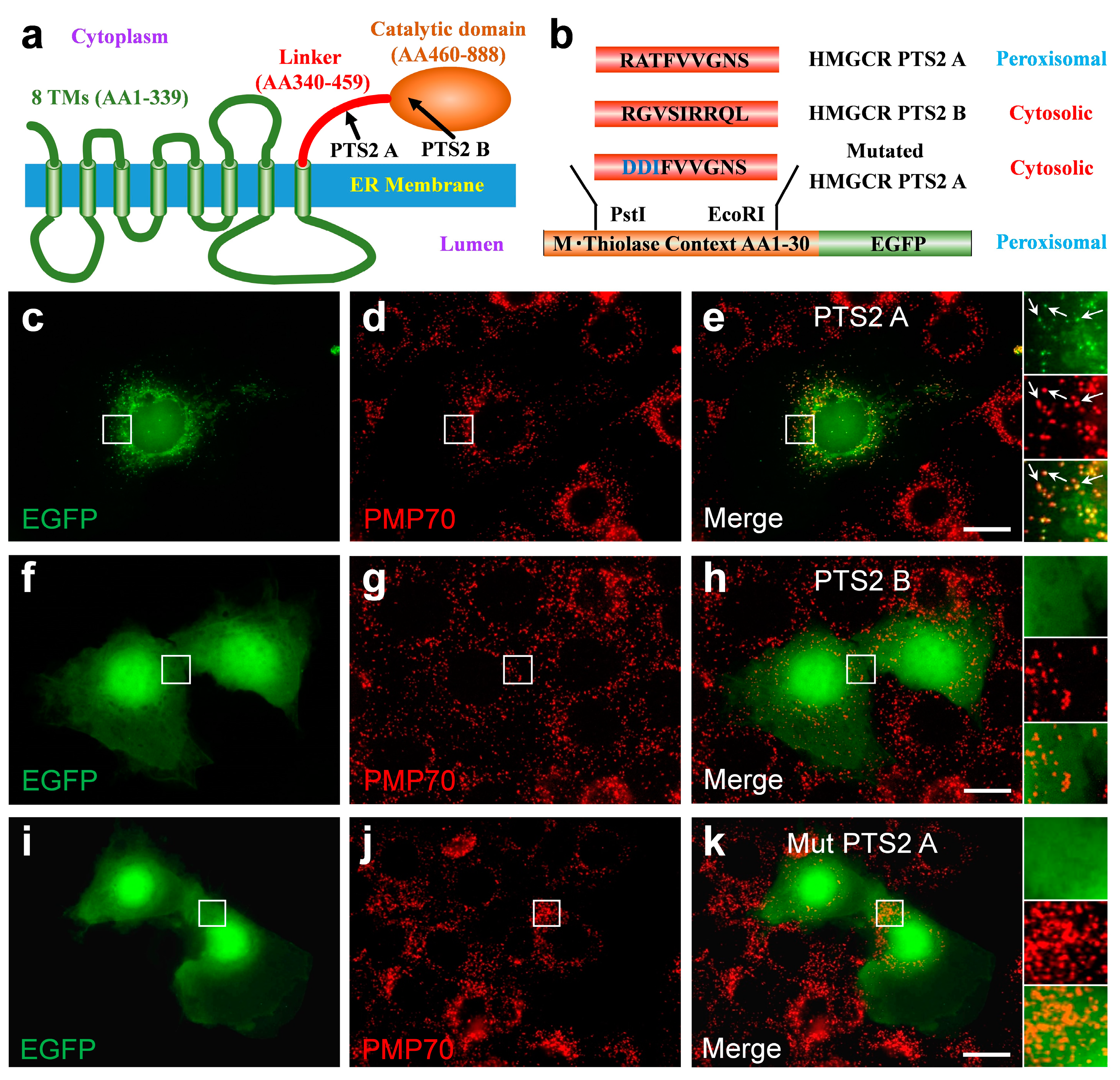 Biomolecules 14 00244 g006 Biomolecules 14 00244 g006