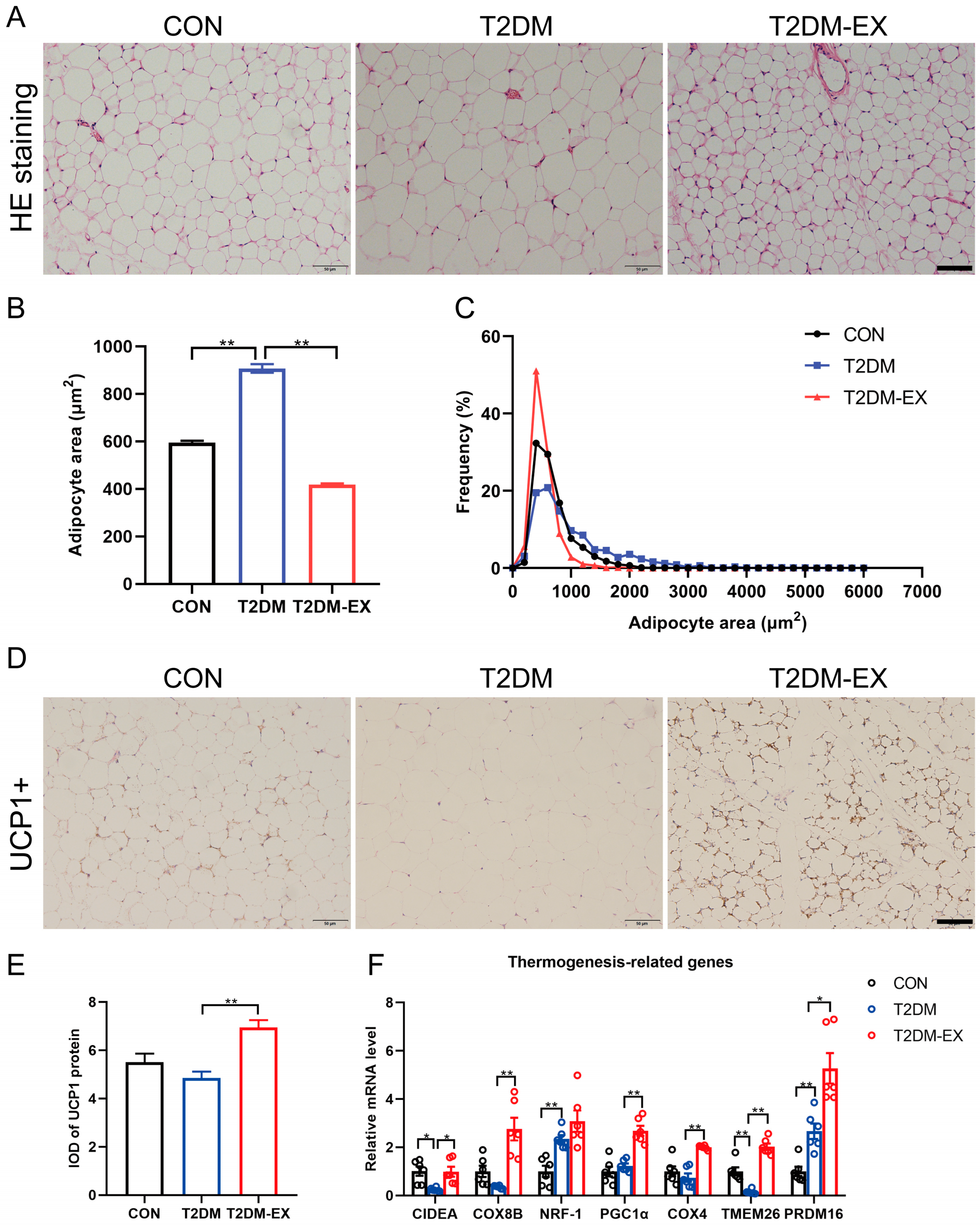 Biomolecules 14 00246 g003