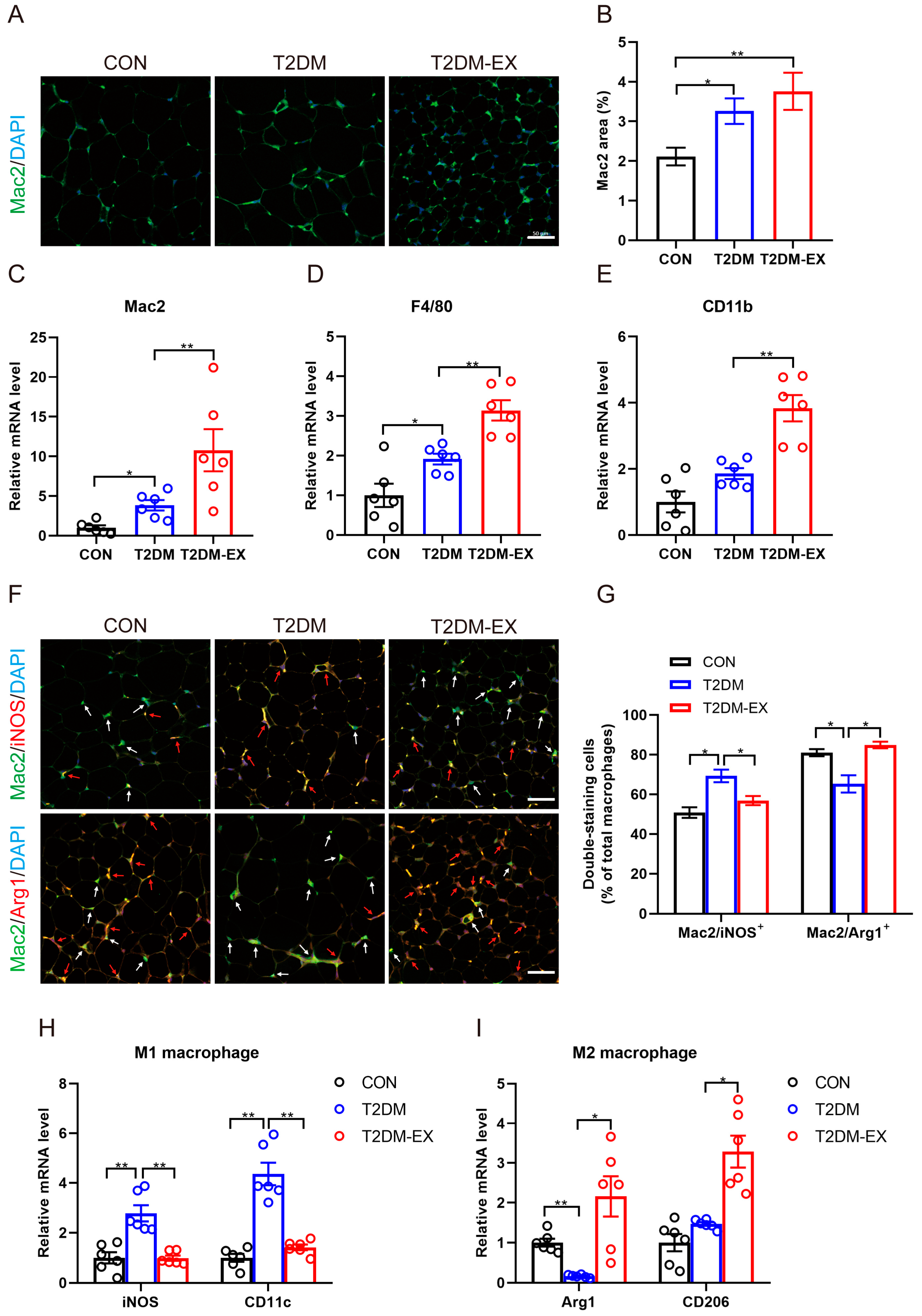 Biomolecules 14 00246 g005