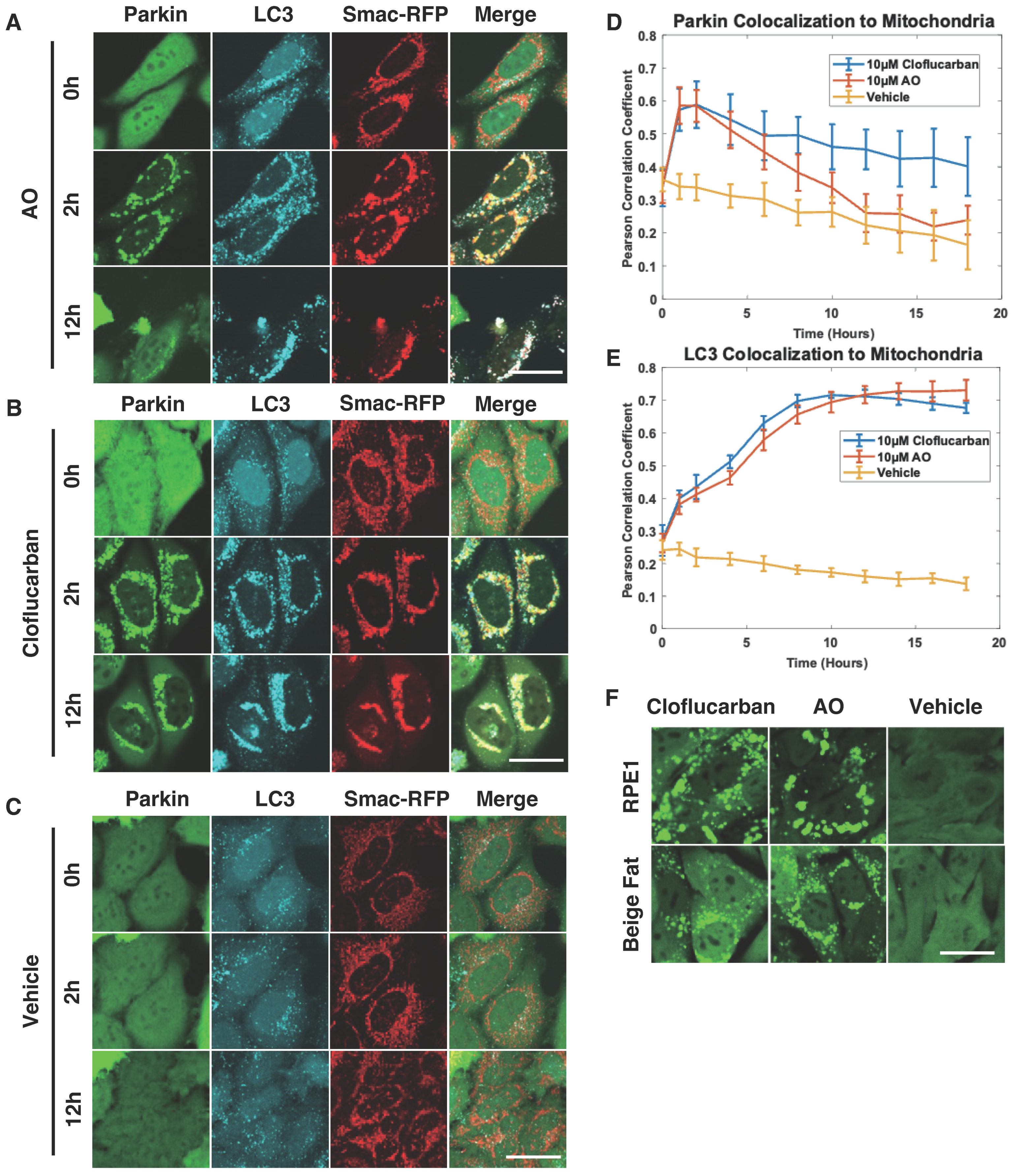 Biomolecules 14 00248 g002 Biomolecules 14 00248 g002