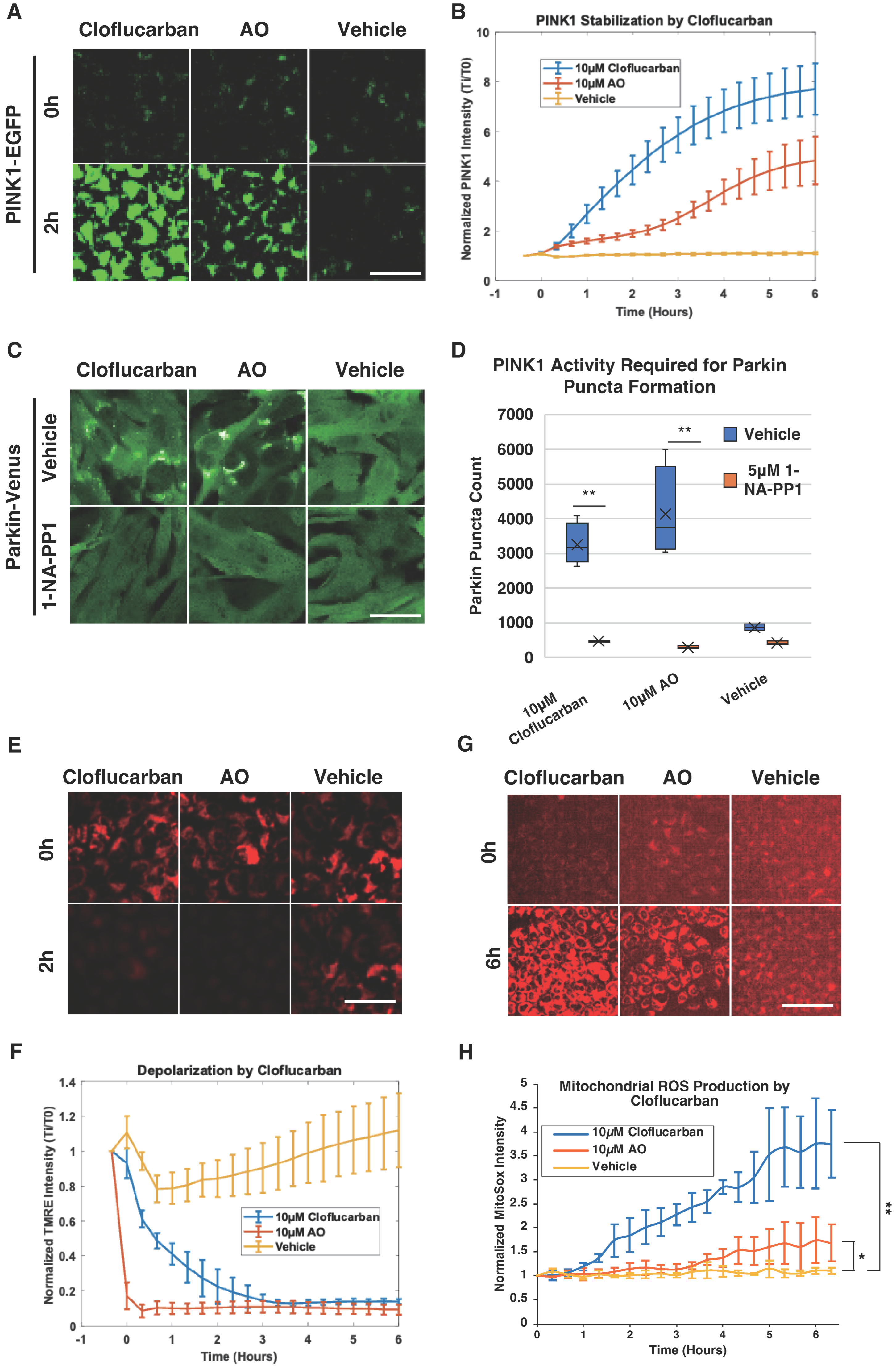 Biomolecules 14 00248 g003 Biomolecules 14 00248 g003