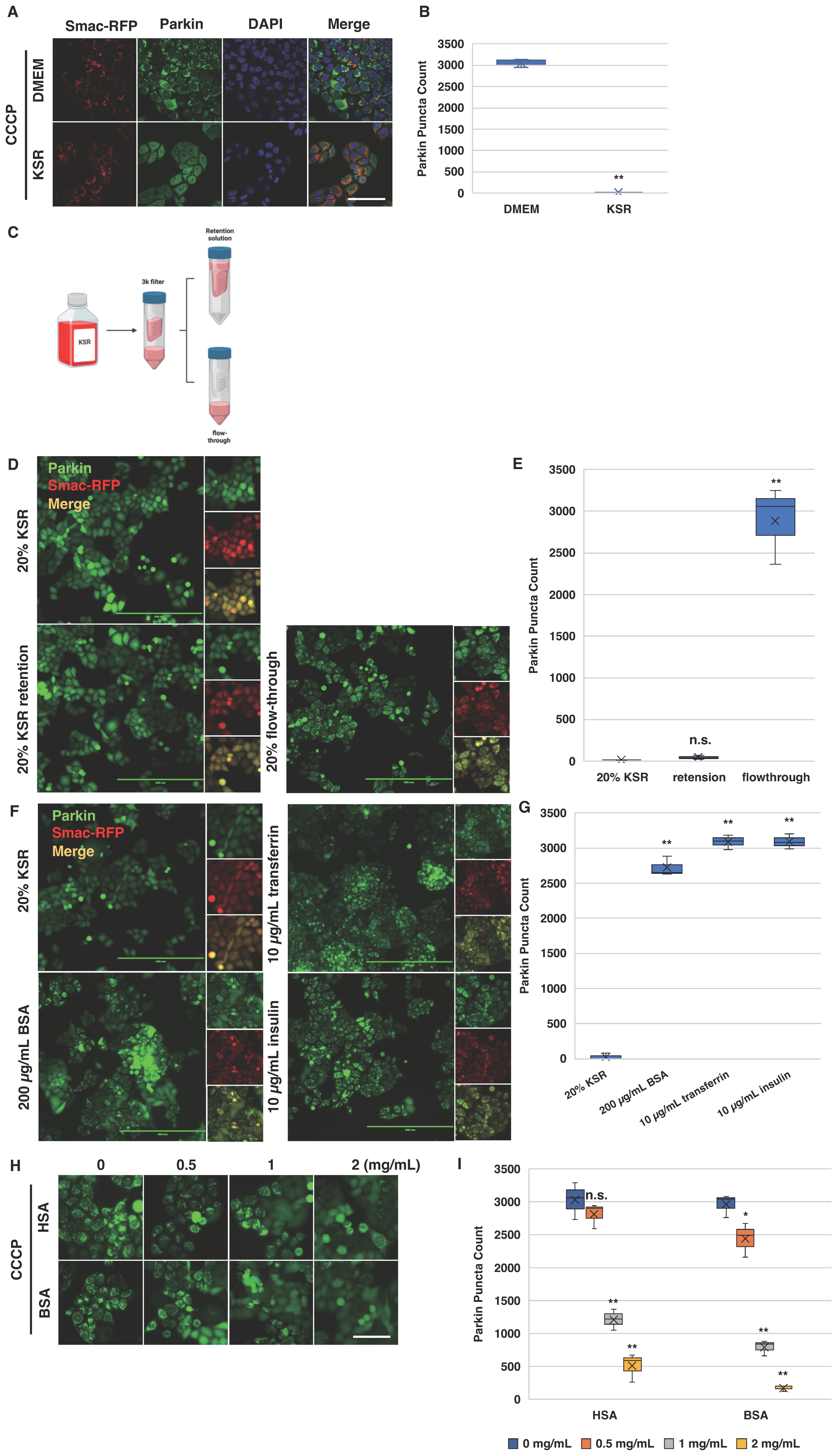 Biomolecules 14 00248 g005 Biomolecules 14 00248 g005