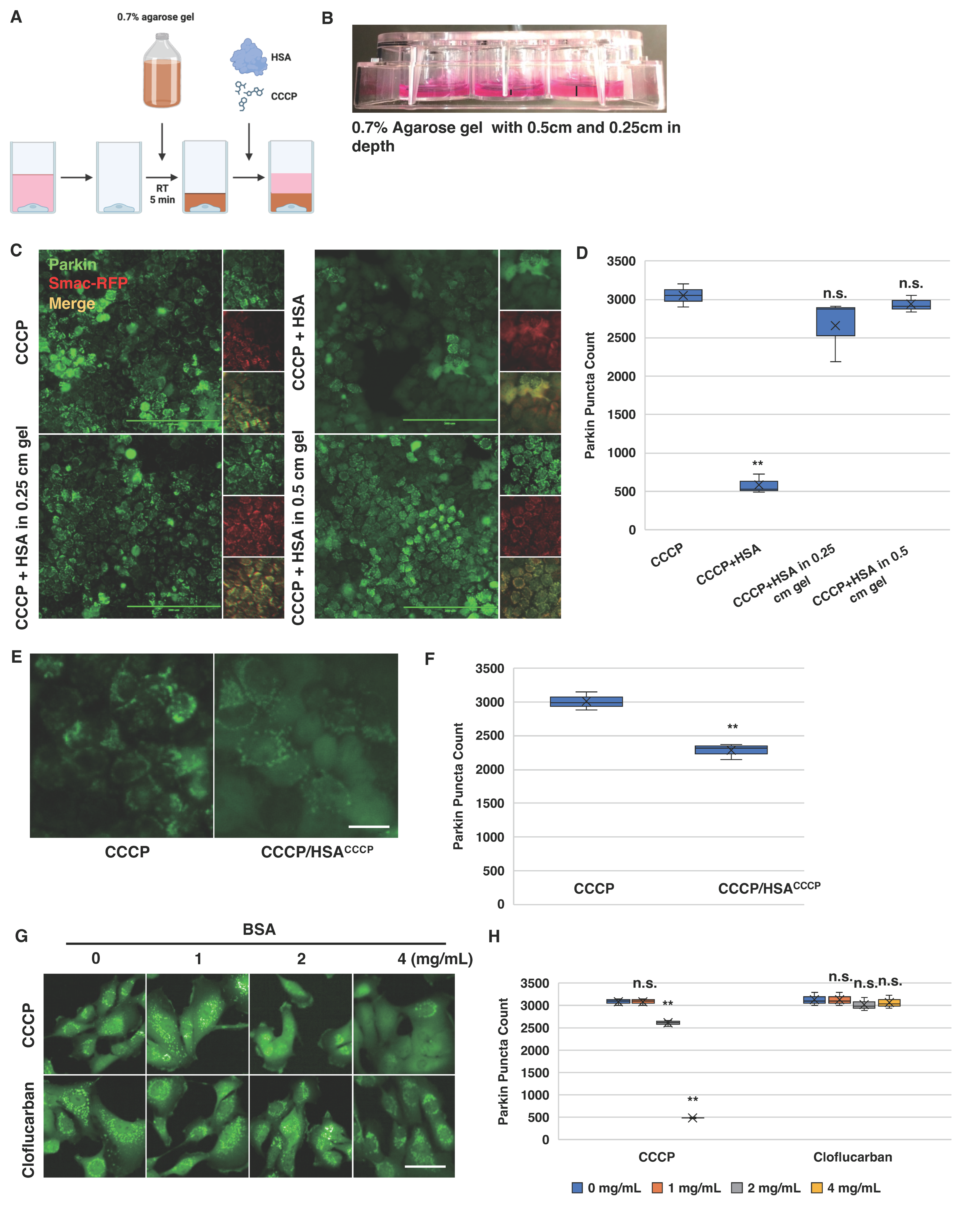 Biomolecules 14 00248 g006 Biomolecules 14 00248 g006