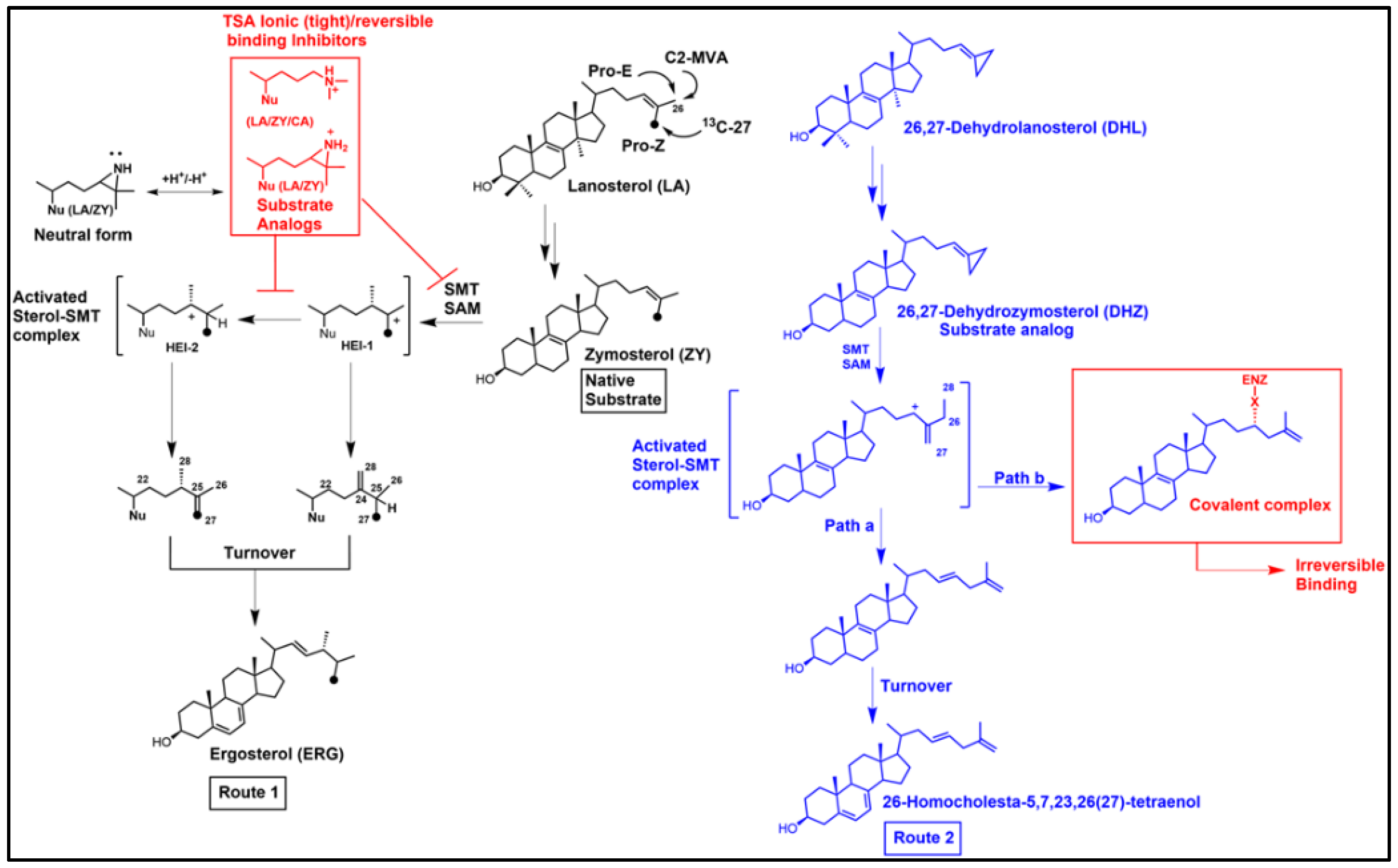 Biomolecules 14 00249 g005