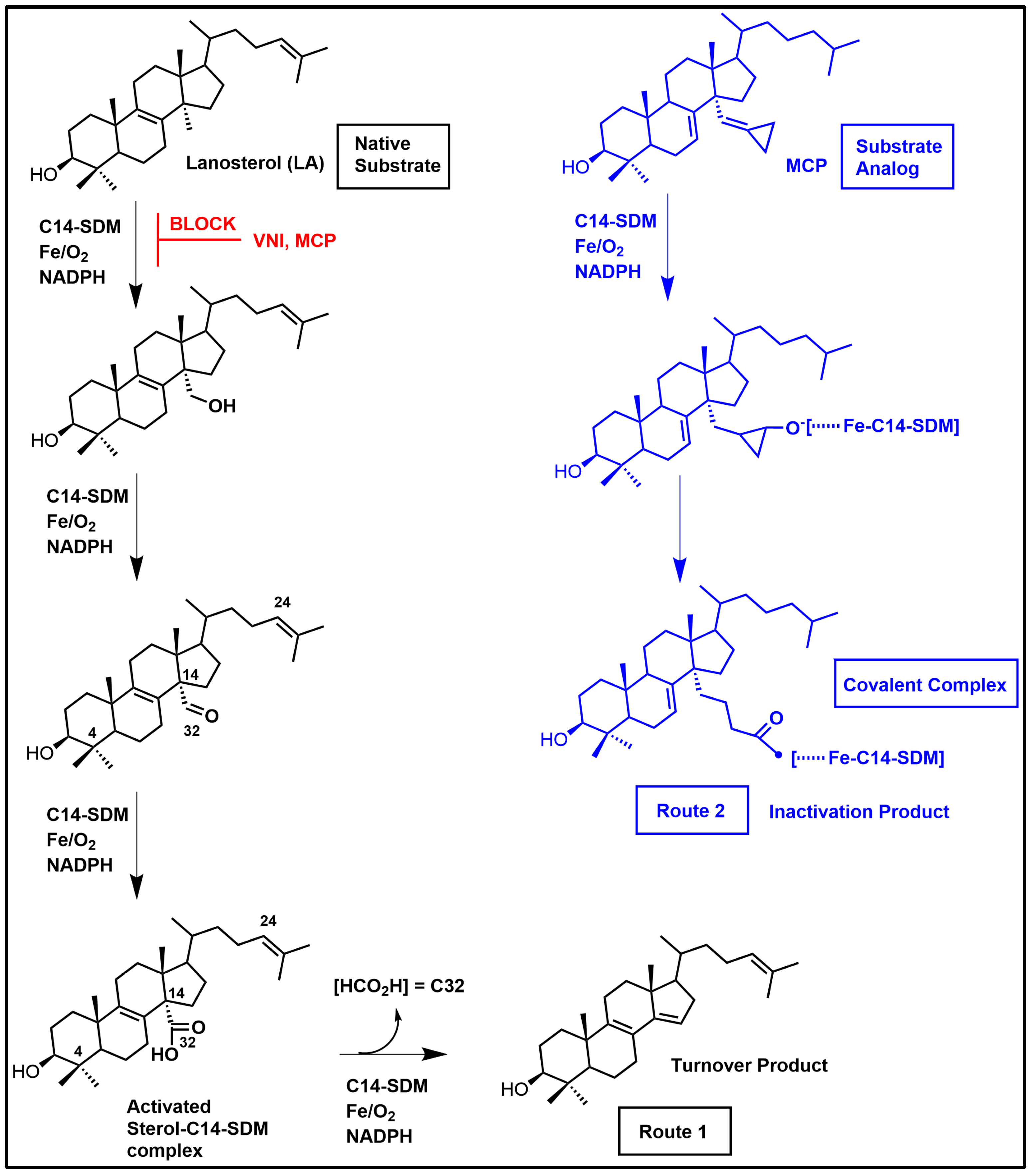 Biomolecules 14 00249 g008