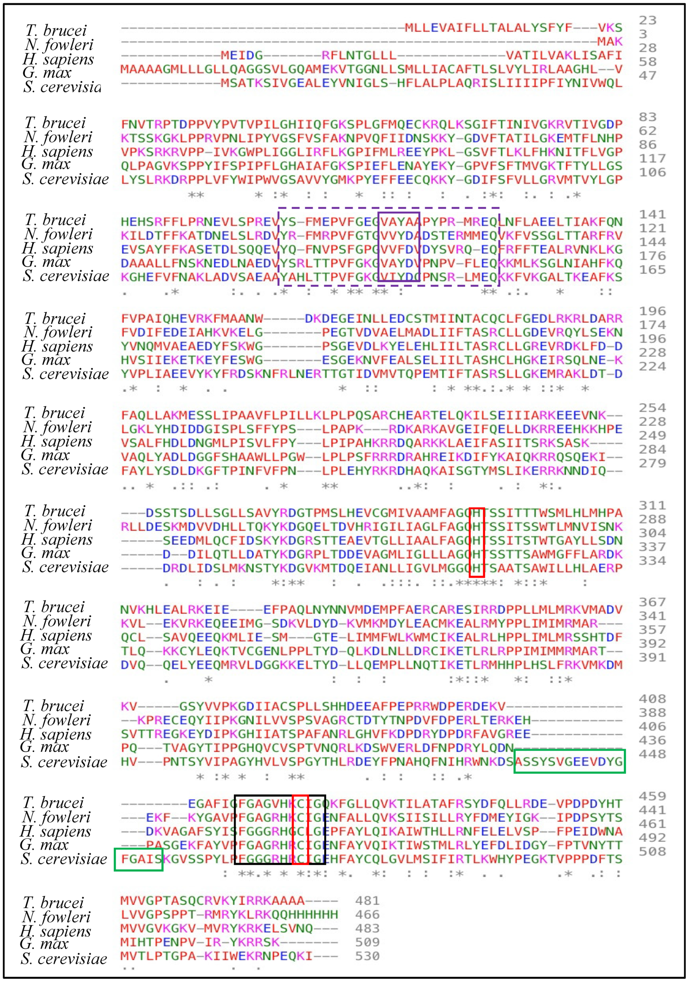 Biomolecules 14 00249 g009