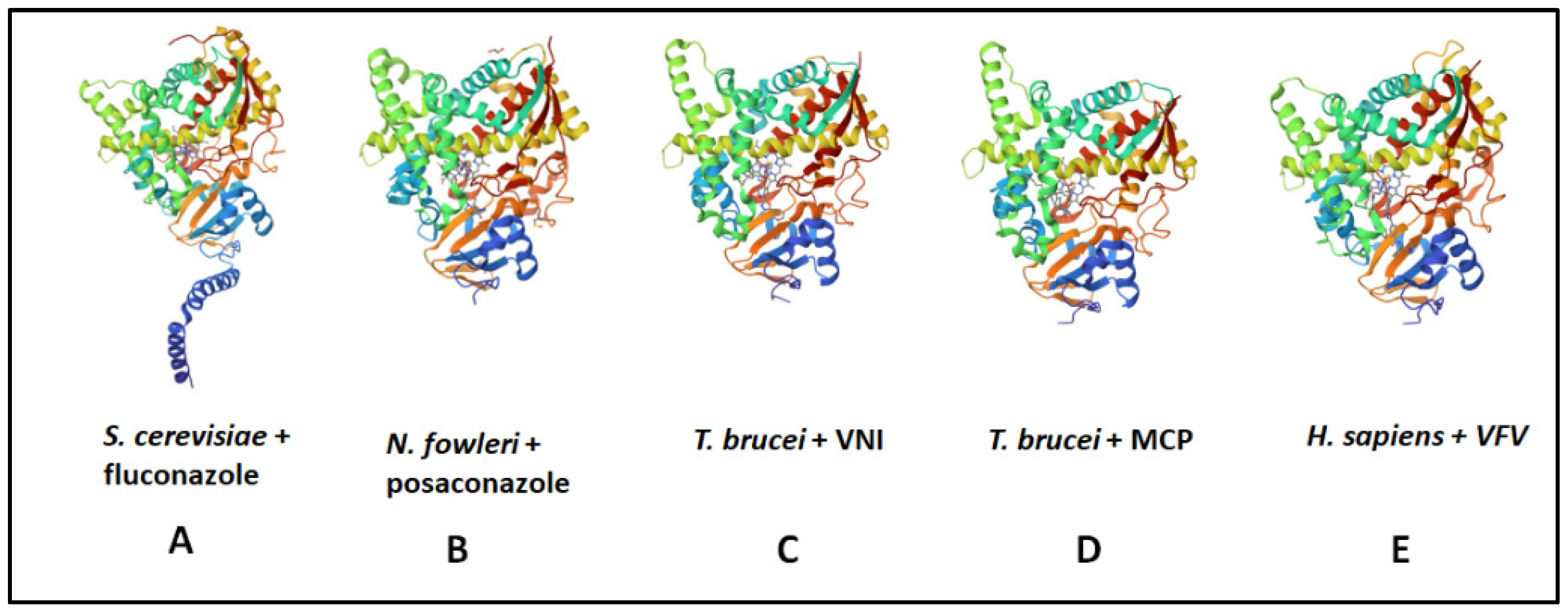 Biomolecules 14 00249 g011