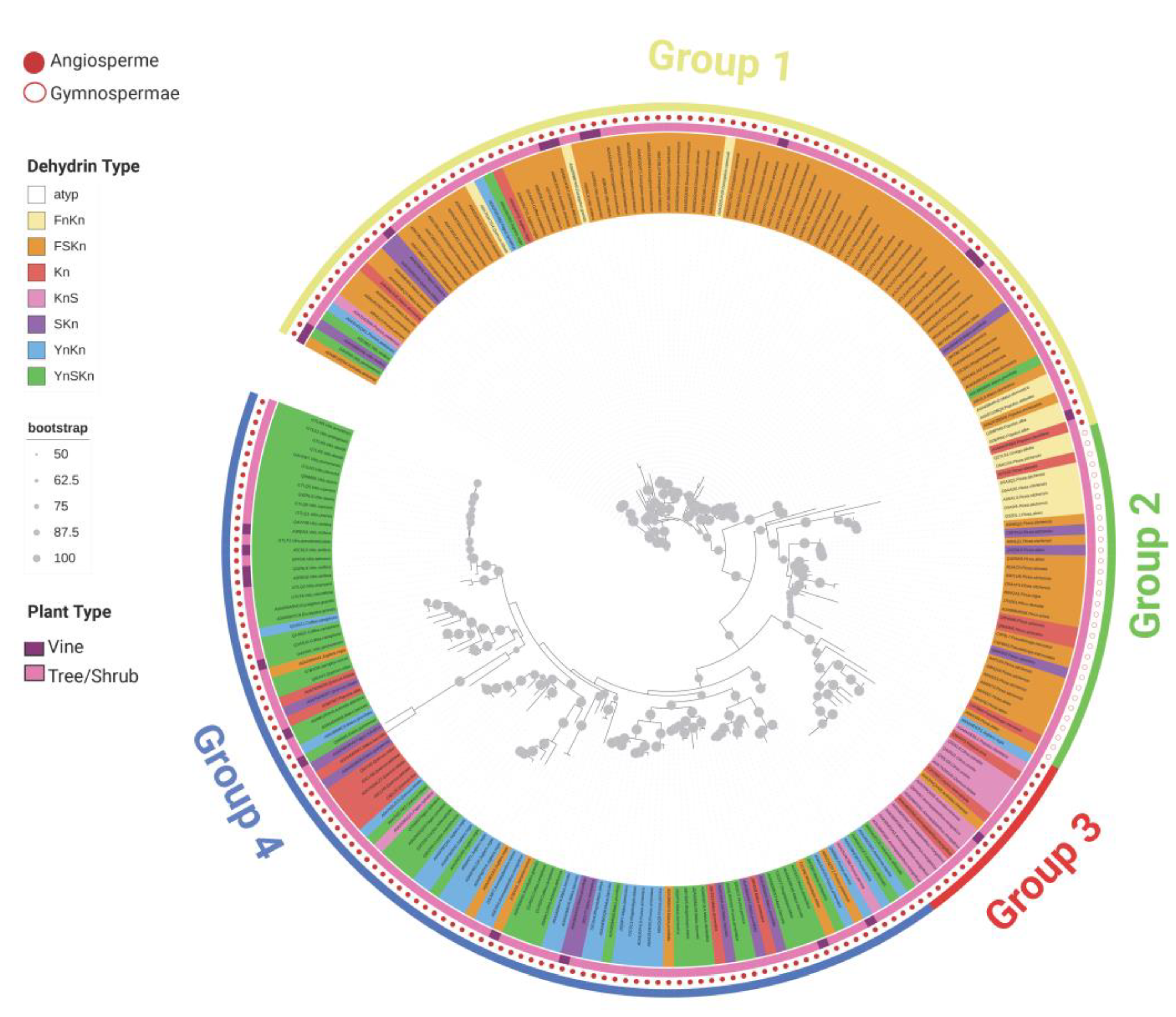 Biomolecules 14 00250 g002 Biomolecules 14 00250 g002