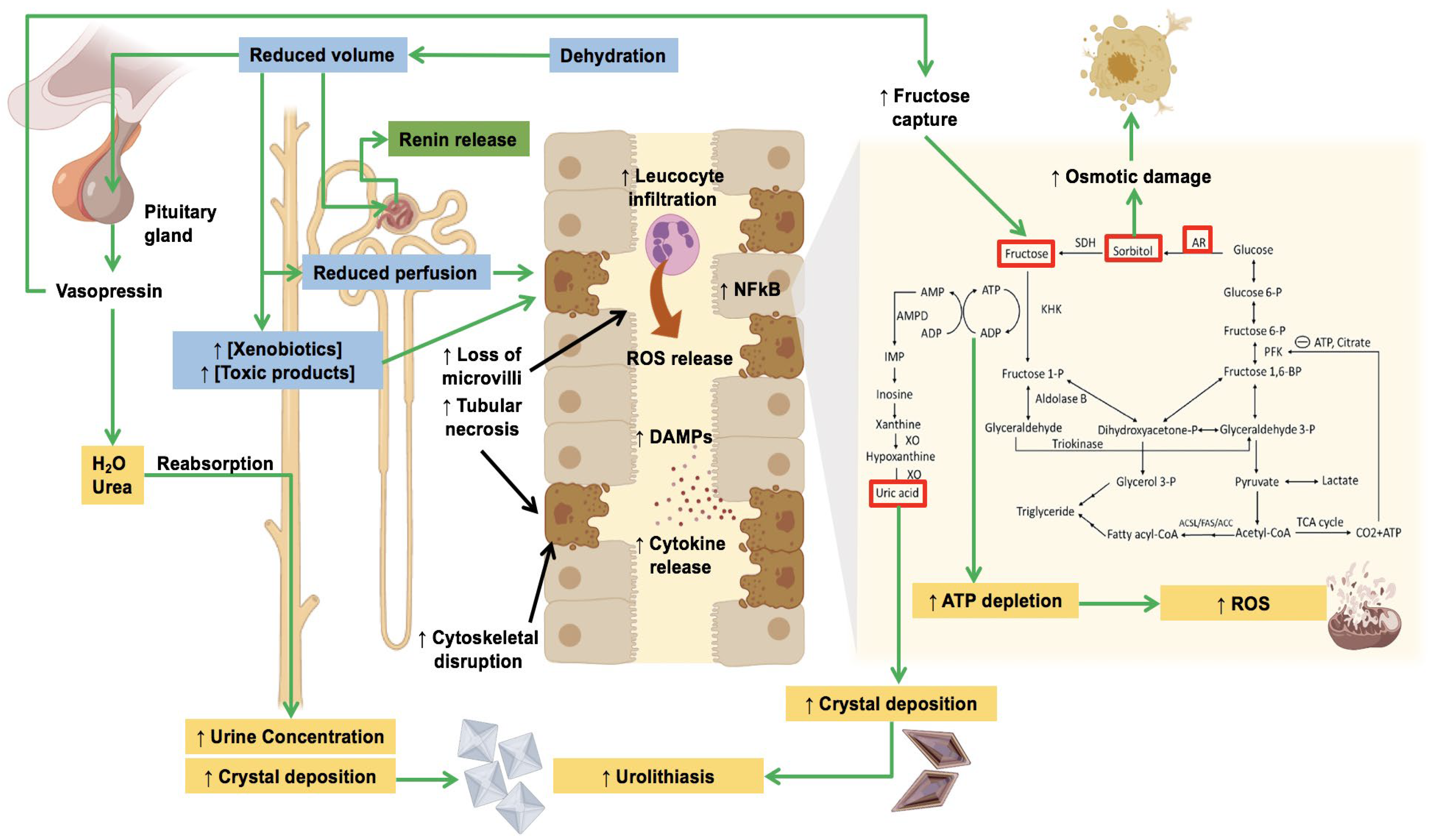 Biomolecules 14 00251 g001 Biomolecules 14 00251 g001