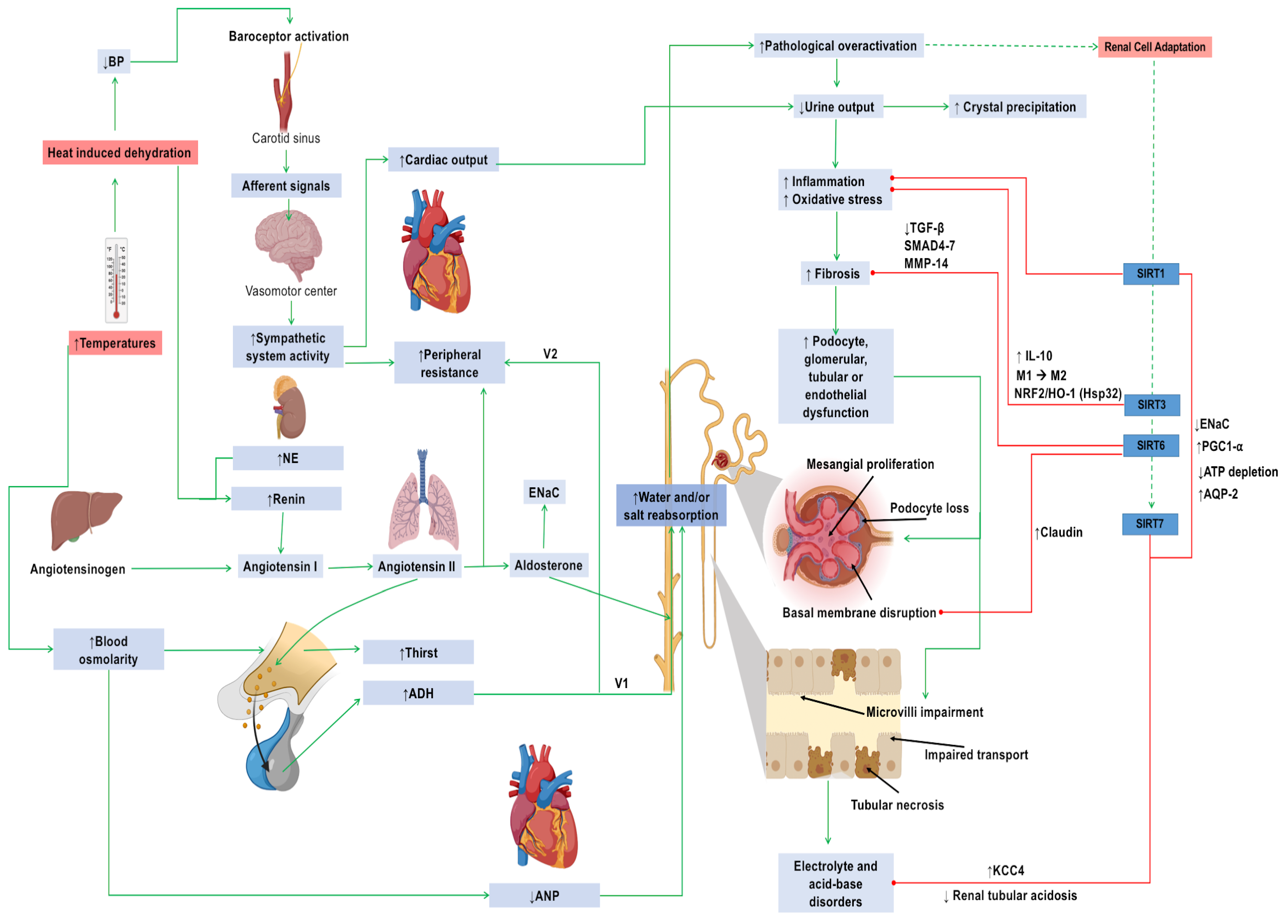 Biomolecules 14 00251 g002 Biomolecules 14 00251 g002