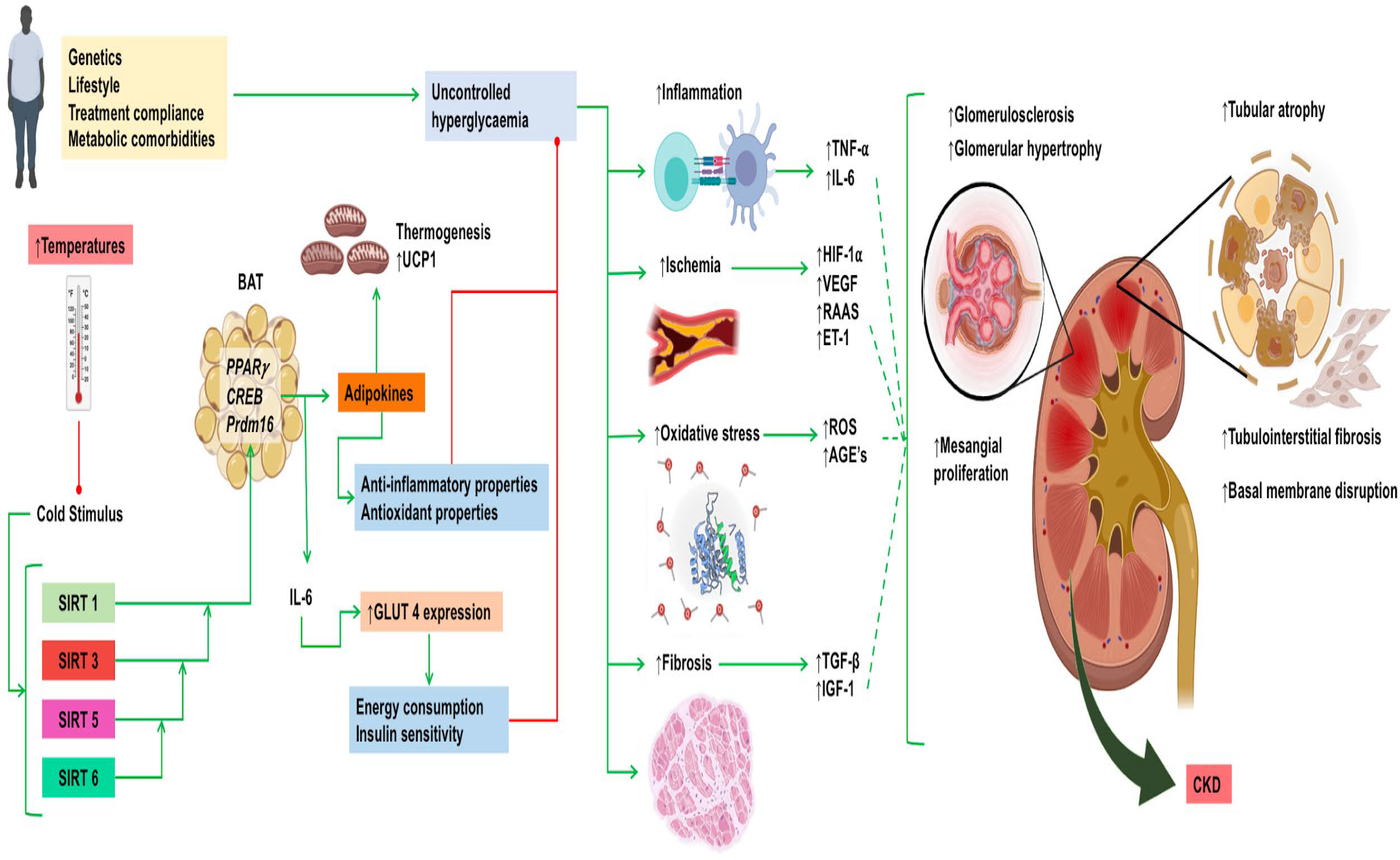 Biomolecules 14 00251 g003 Biomolecules 14 00251 g003