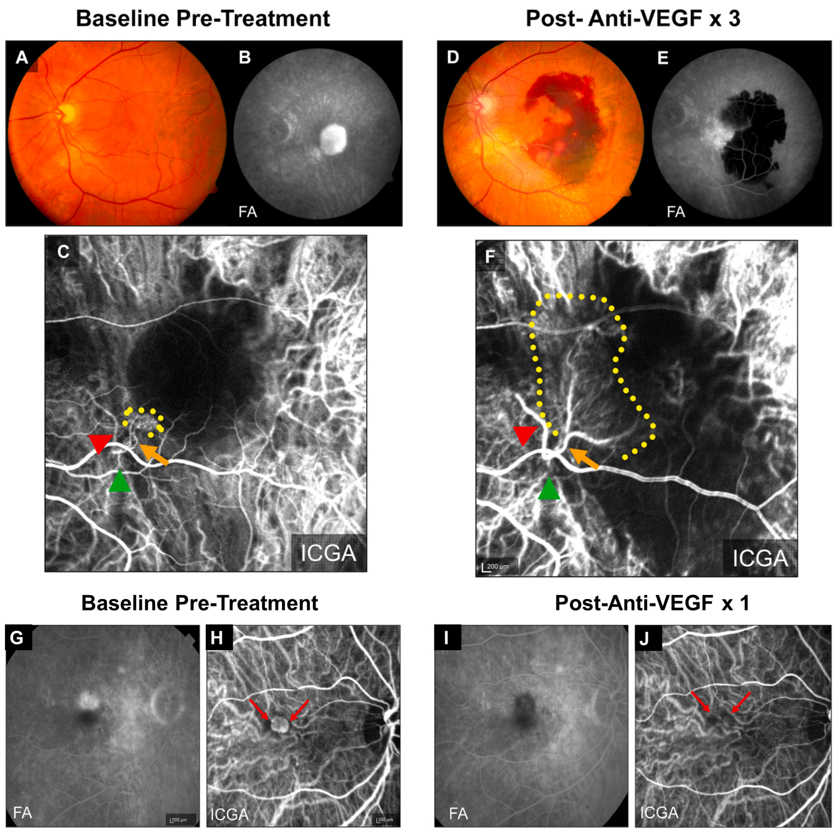 Biomolecules 14 00252 g001