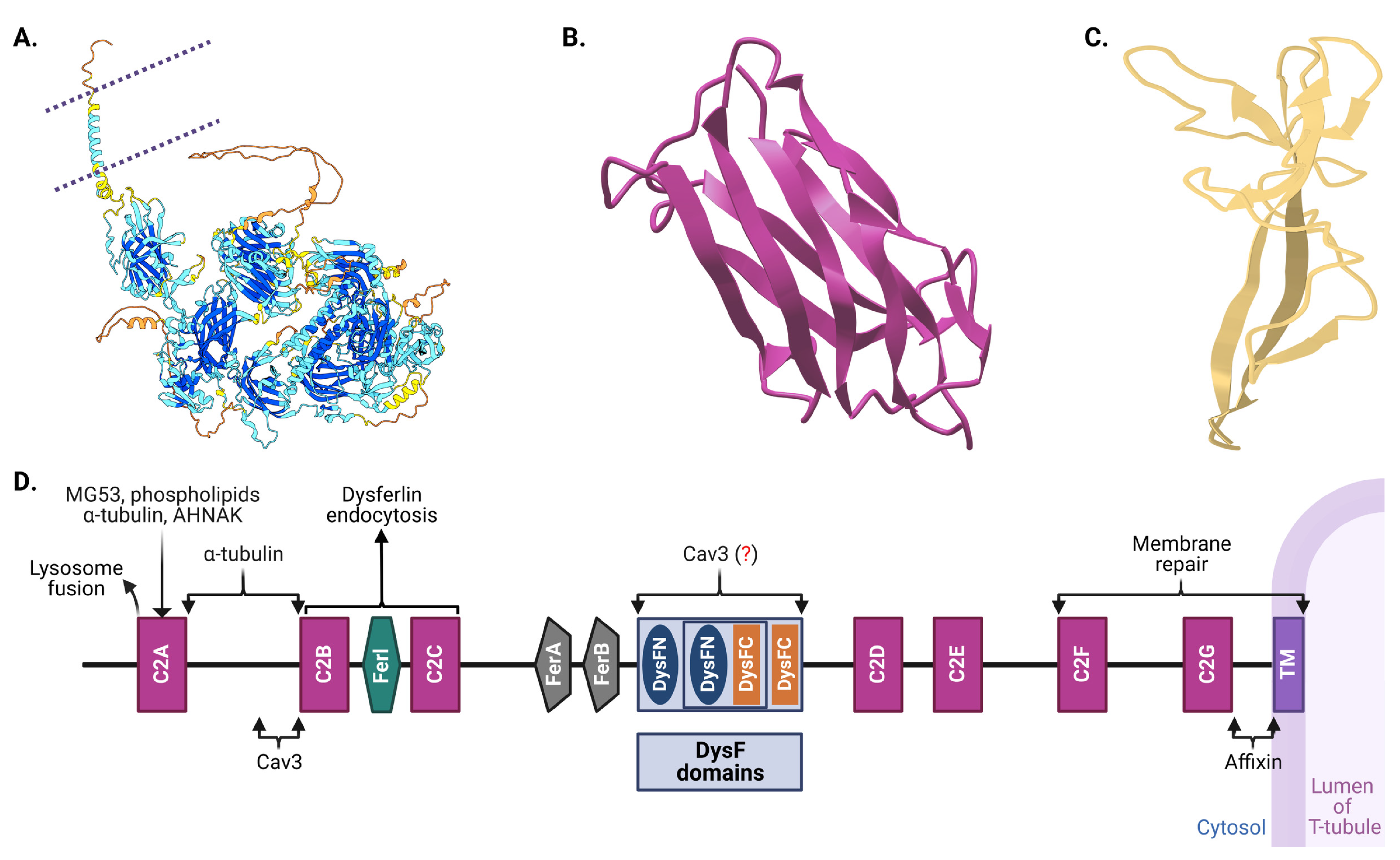 Biomolecules 14 00256 g002 Biomolecules 14 00256 g002