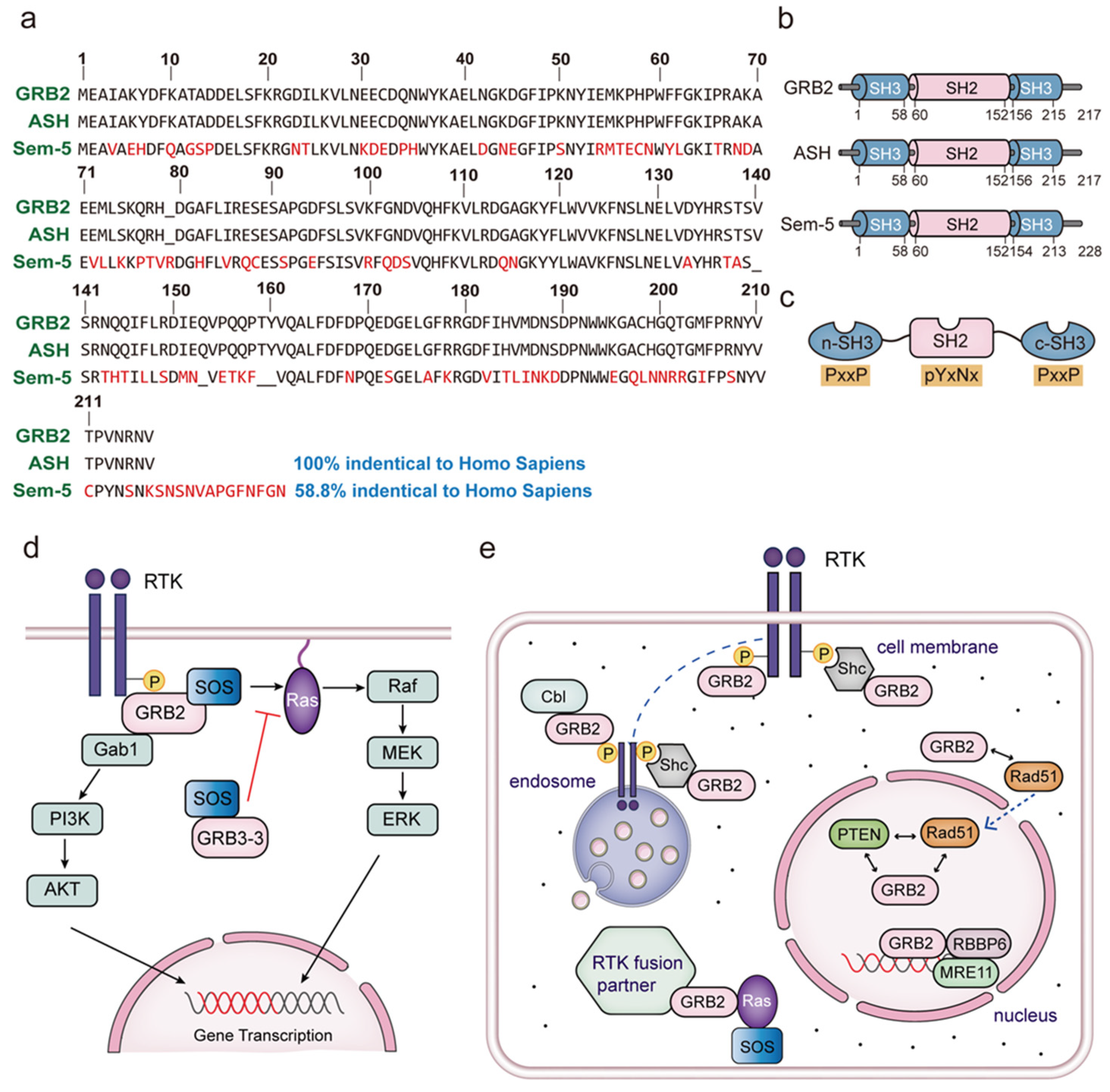 Biomolecules 14 00259 g001