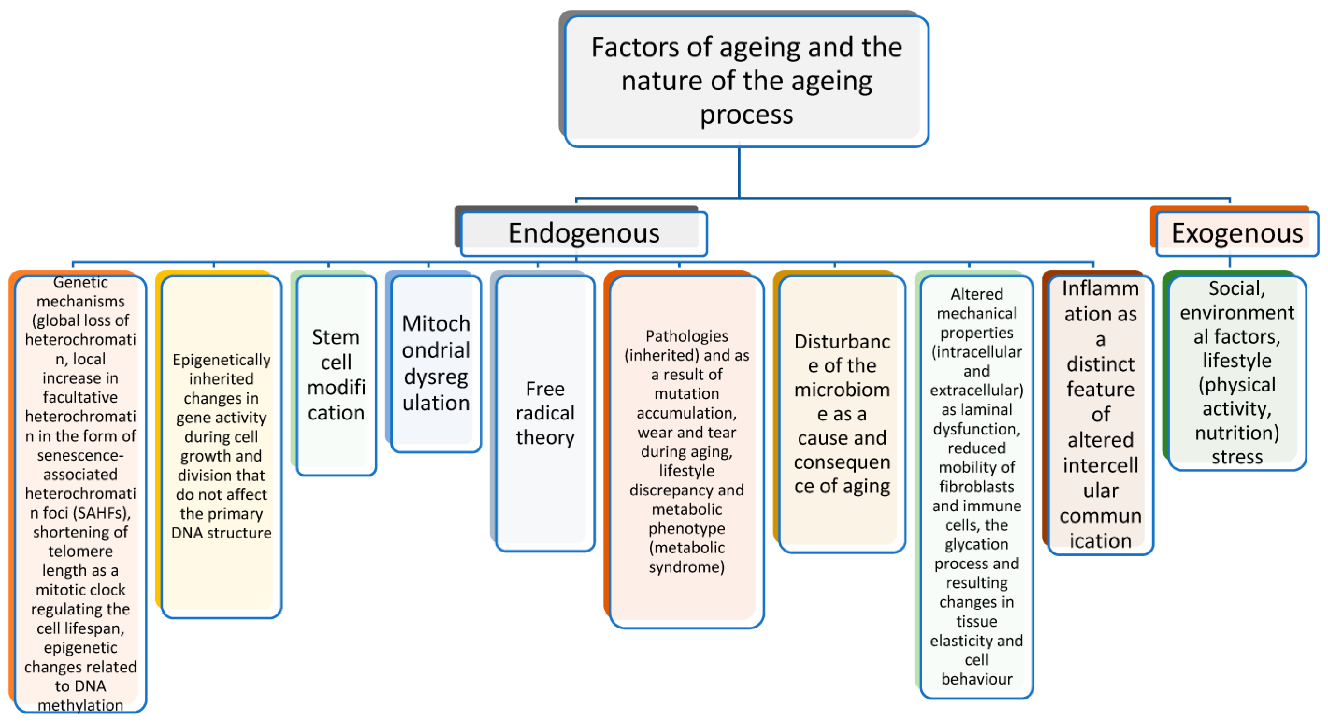 Biomolecules 14 00260 g001