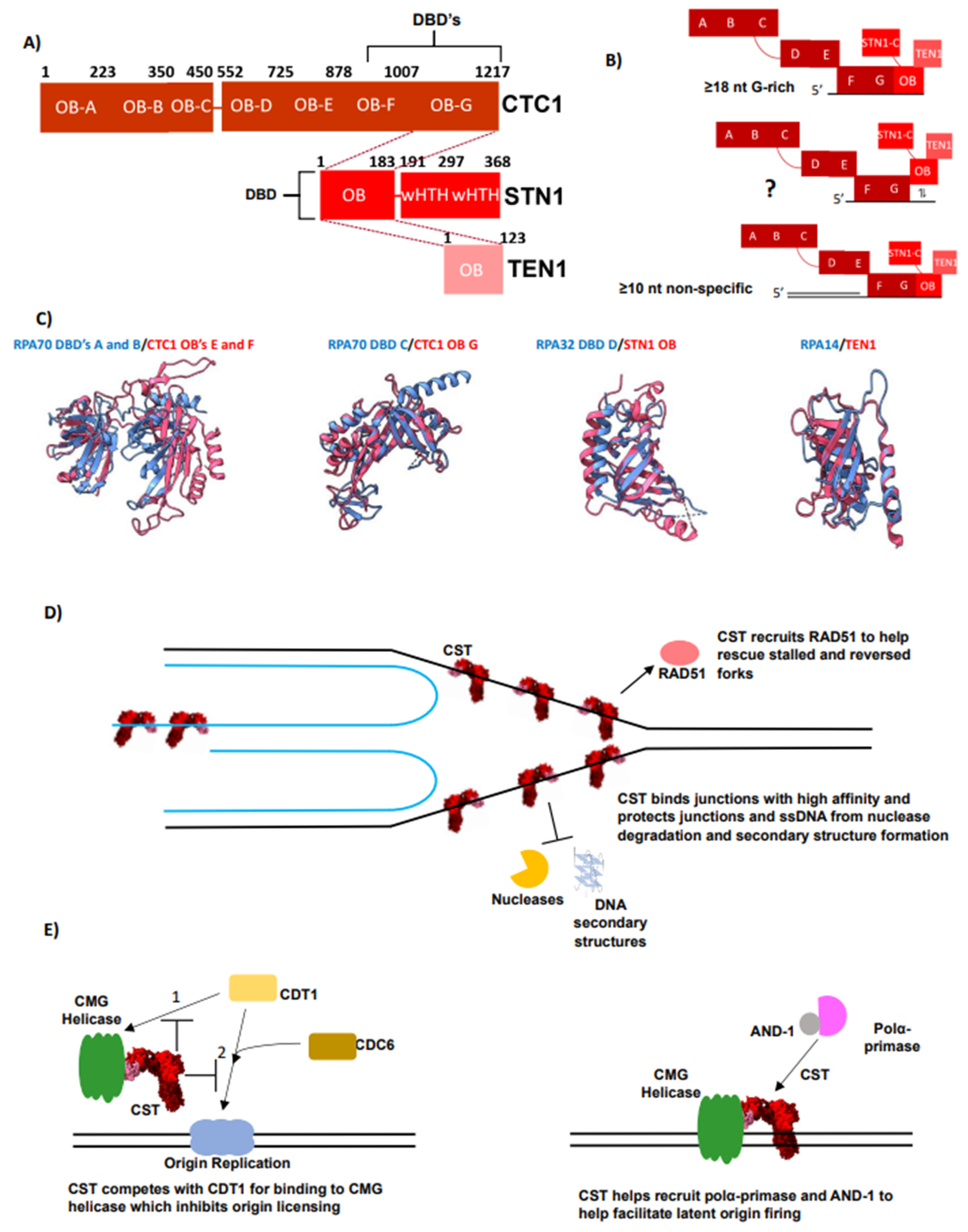 Biomolecules 14 00263 g003
