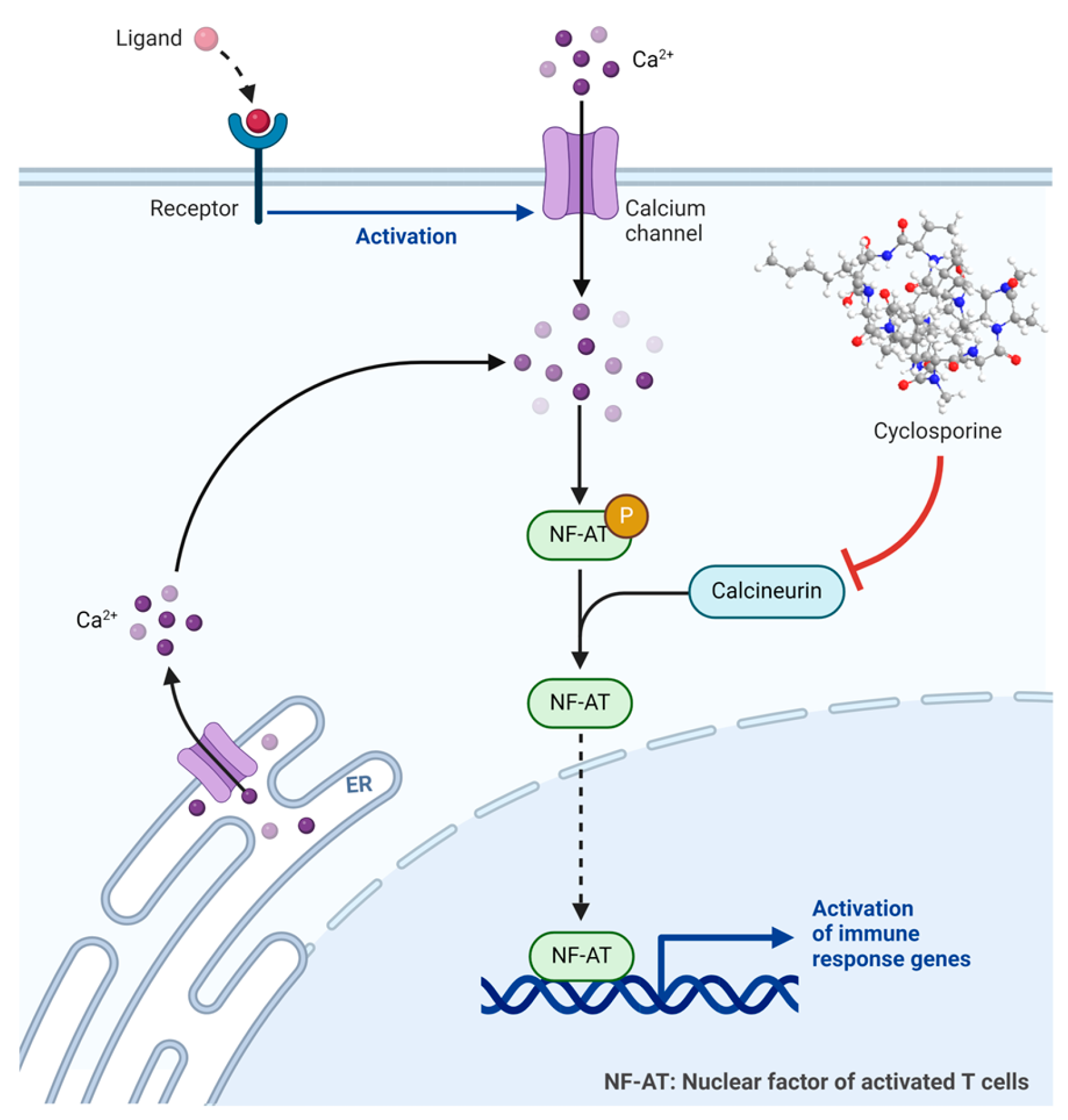 Biomolecules 14 00264 g006
