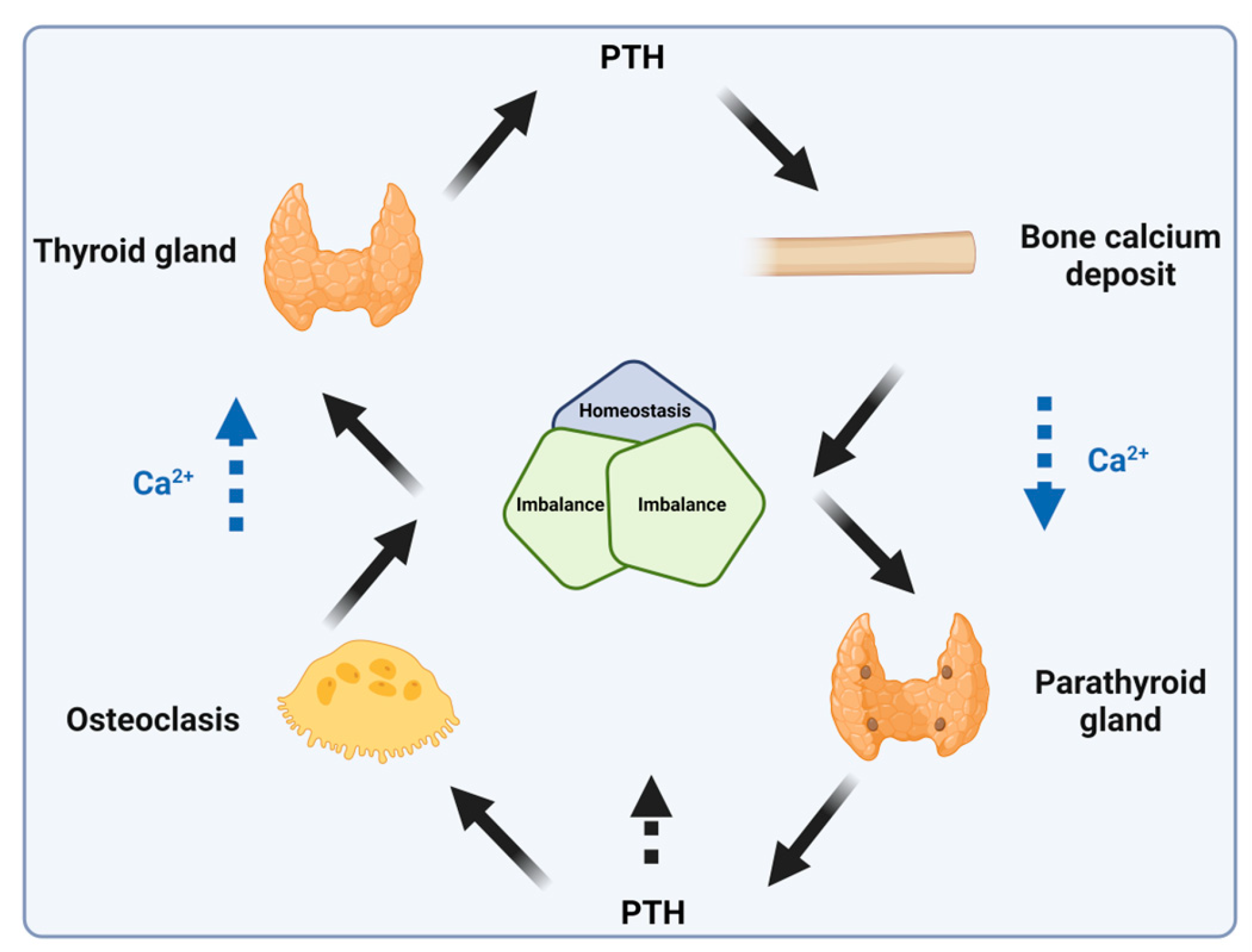 Biomolecules 14 00264 g016