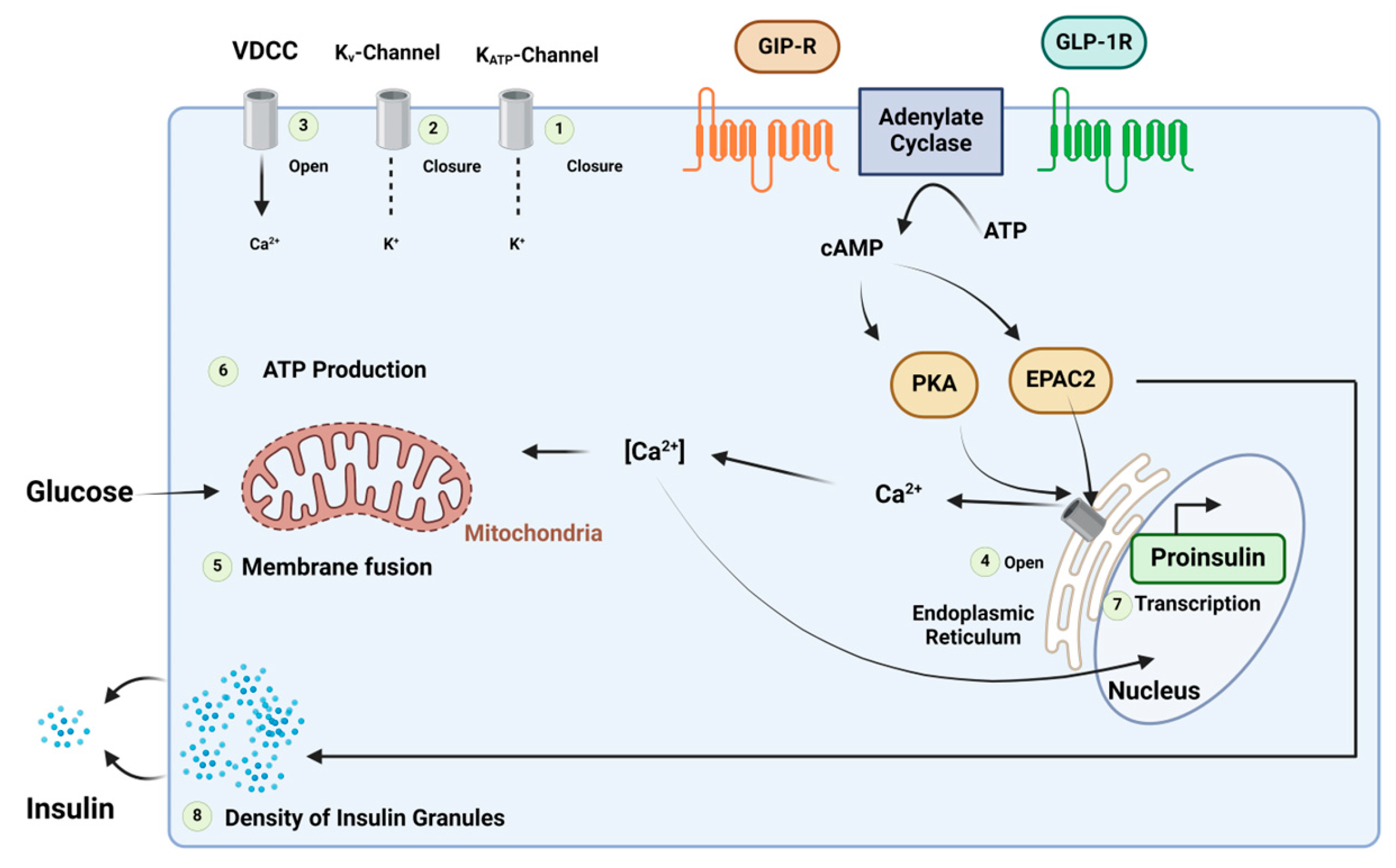 Biomolecules 14 00264 g020