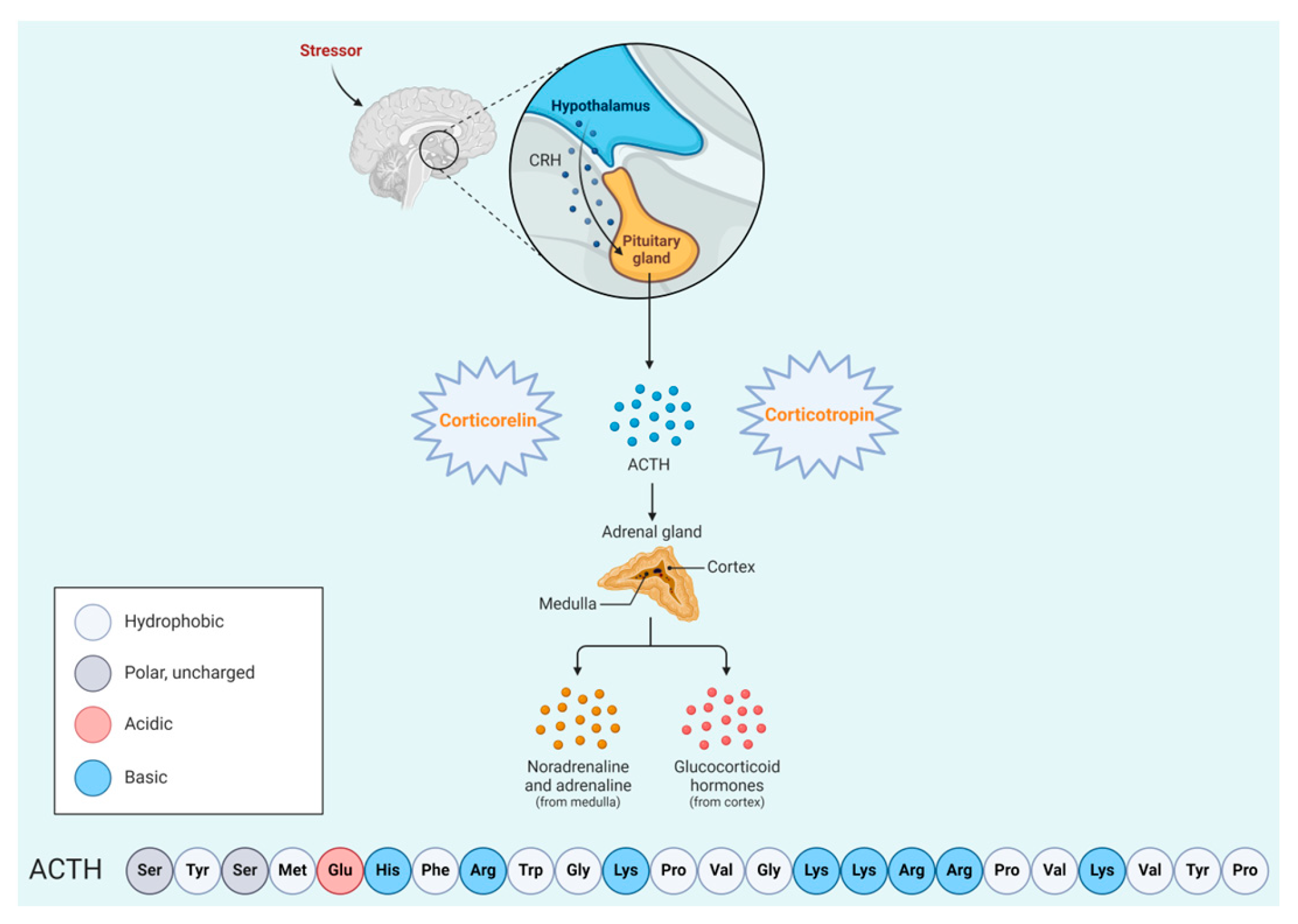 Biomolecules 14 00264 g035