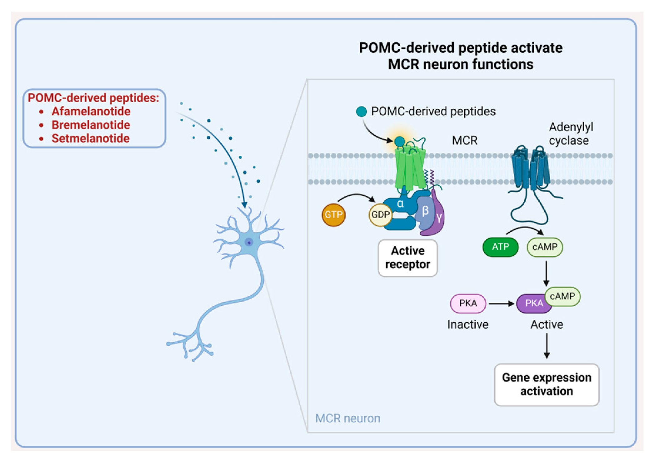 Biomolecules 14 00264 g038