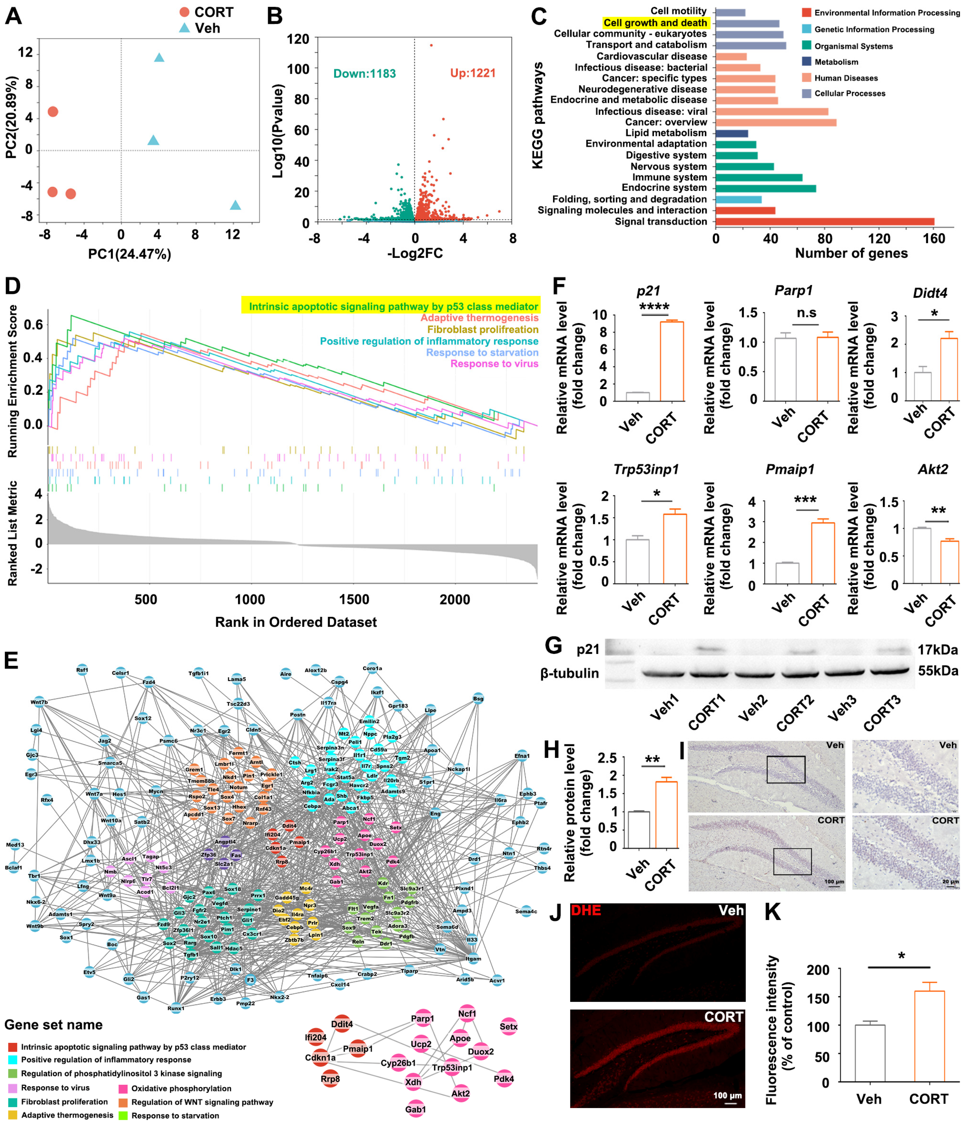 Biomolecules 14 00268 g002