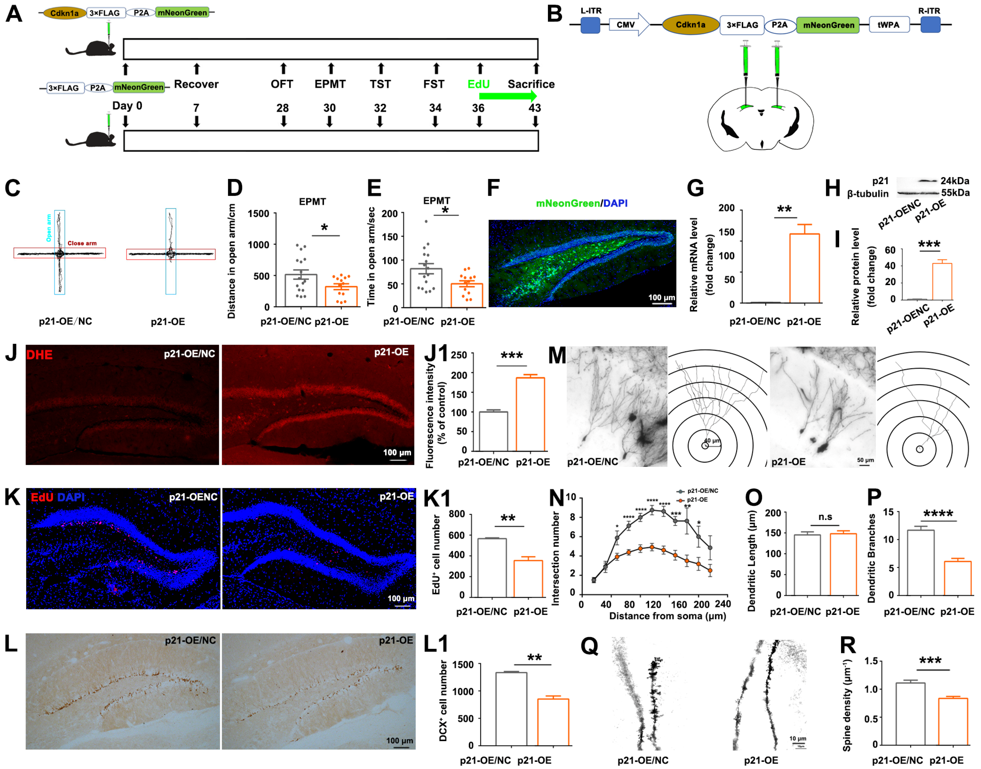 Biomolecules 14 00268 g003