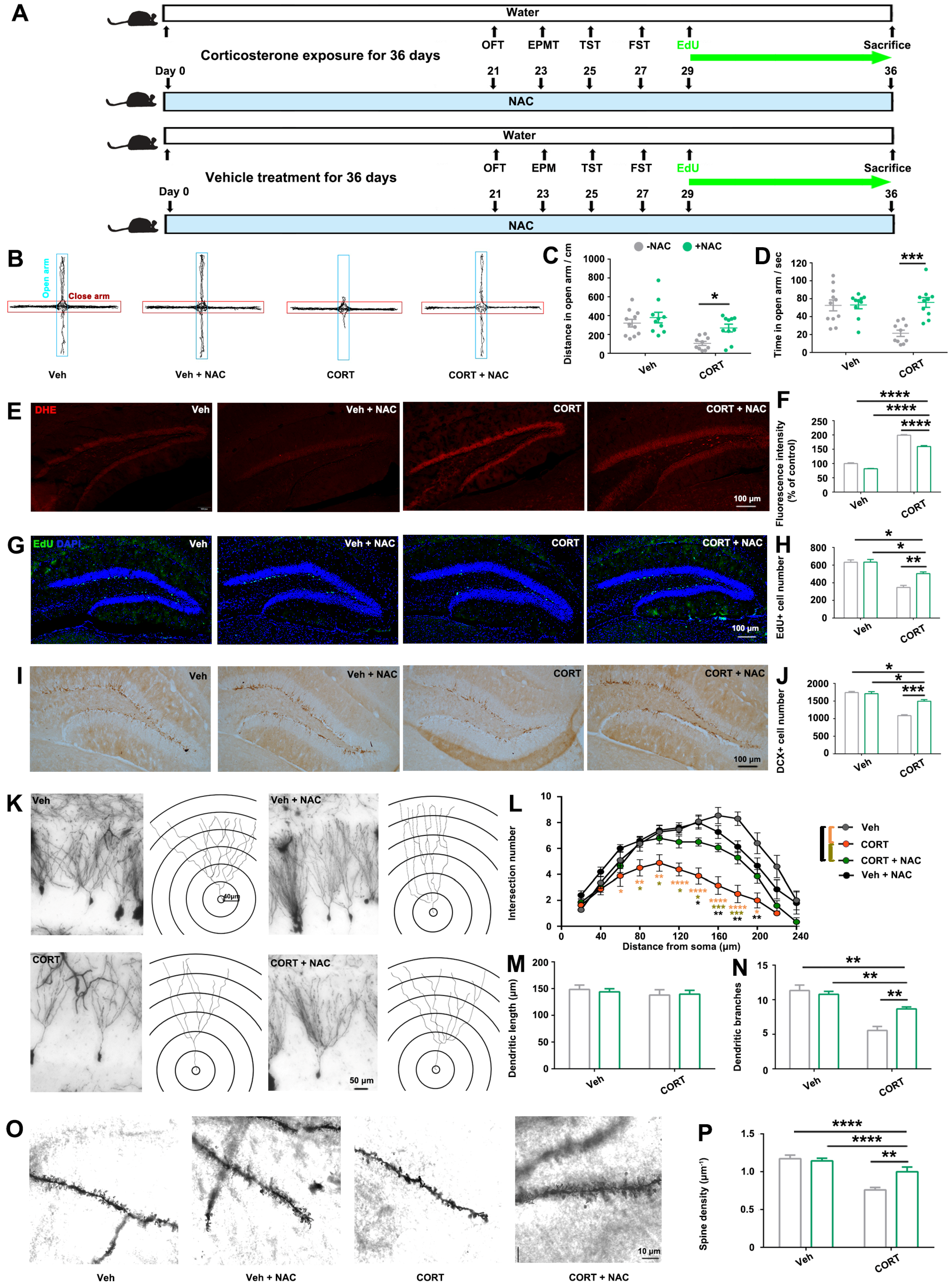 Biomolecules 14 00268 g005