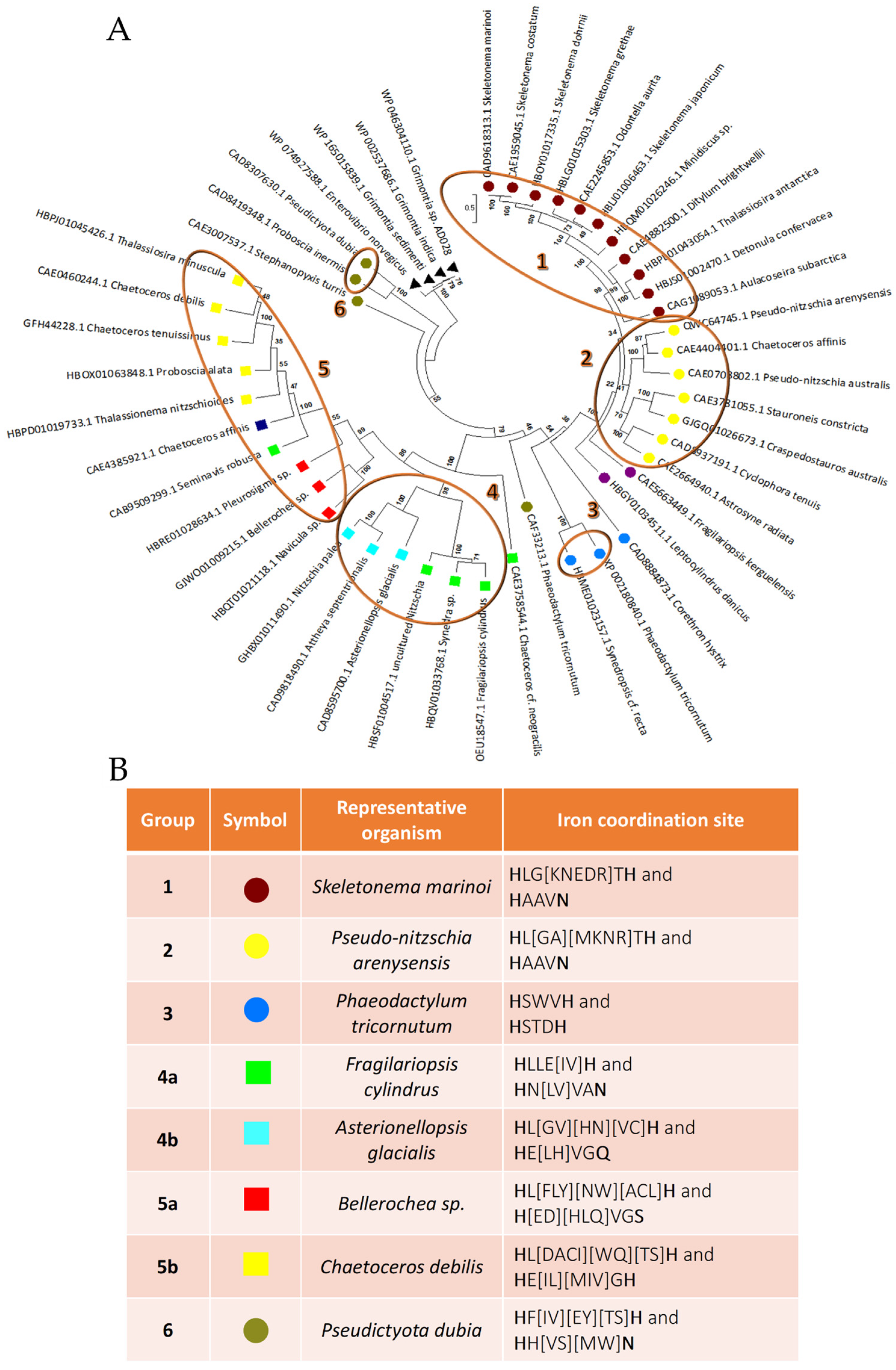 Biomolecules 14 00276 g001