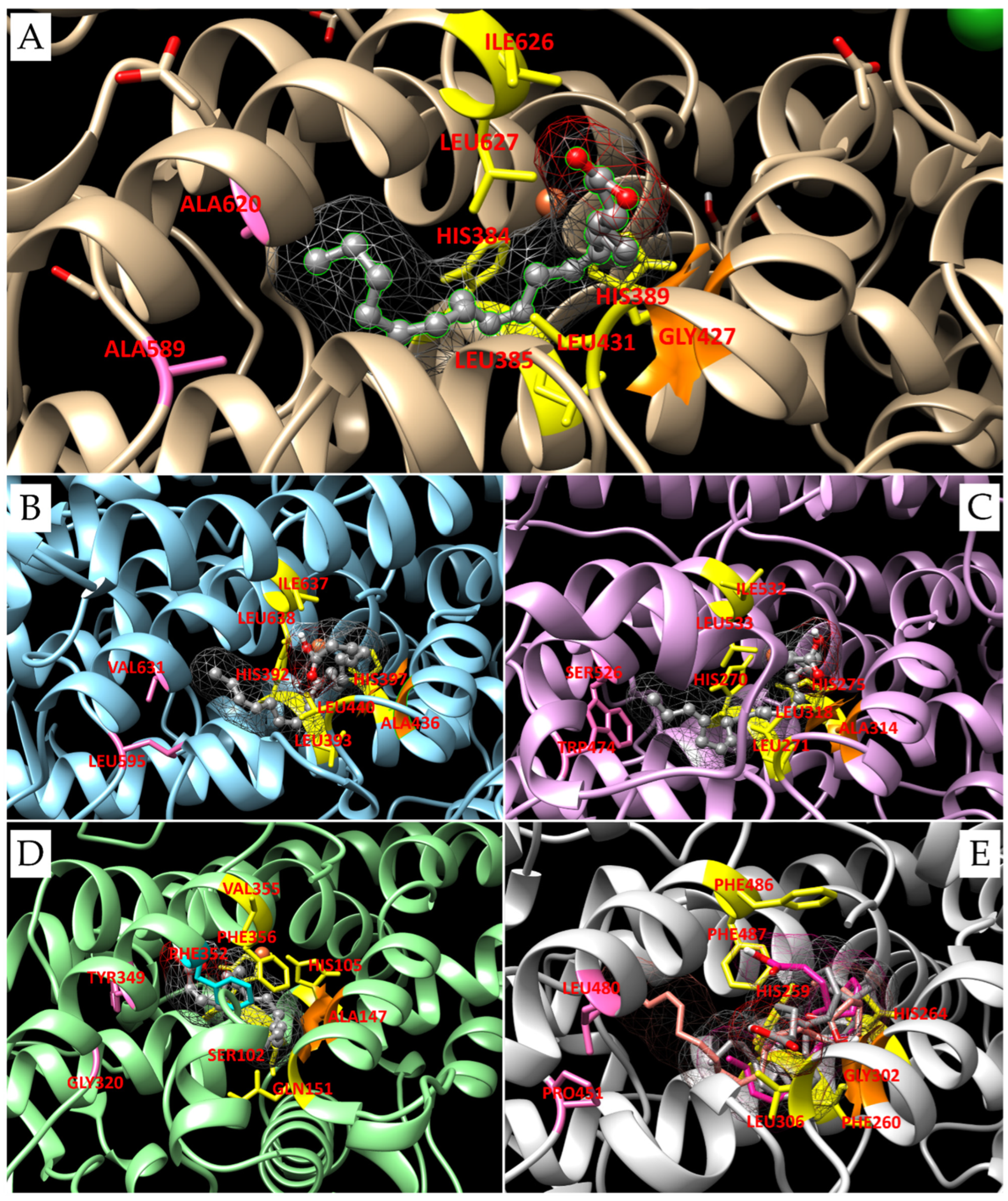 Biomolecules 14 00276 g002