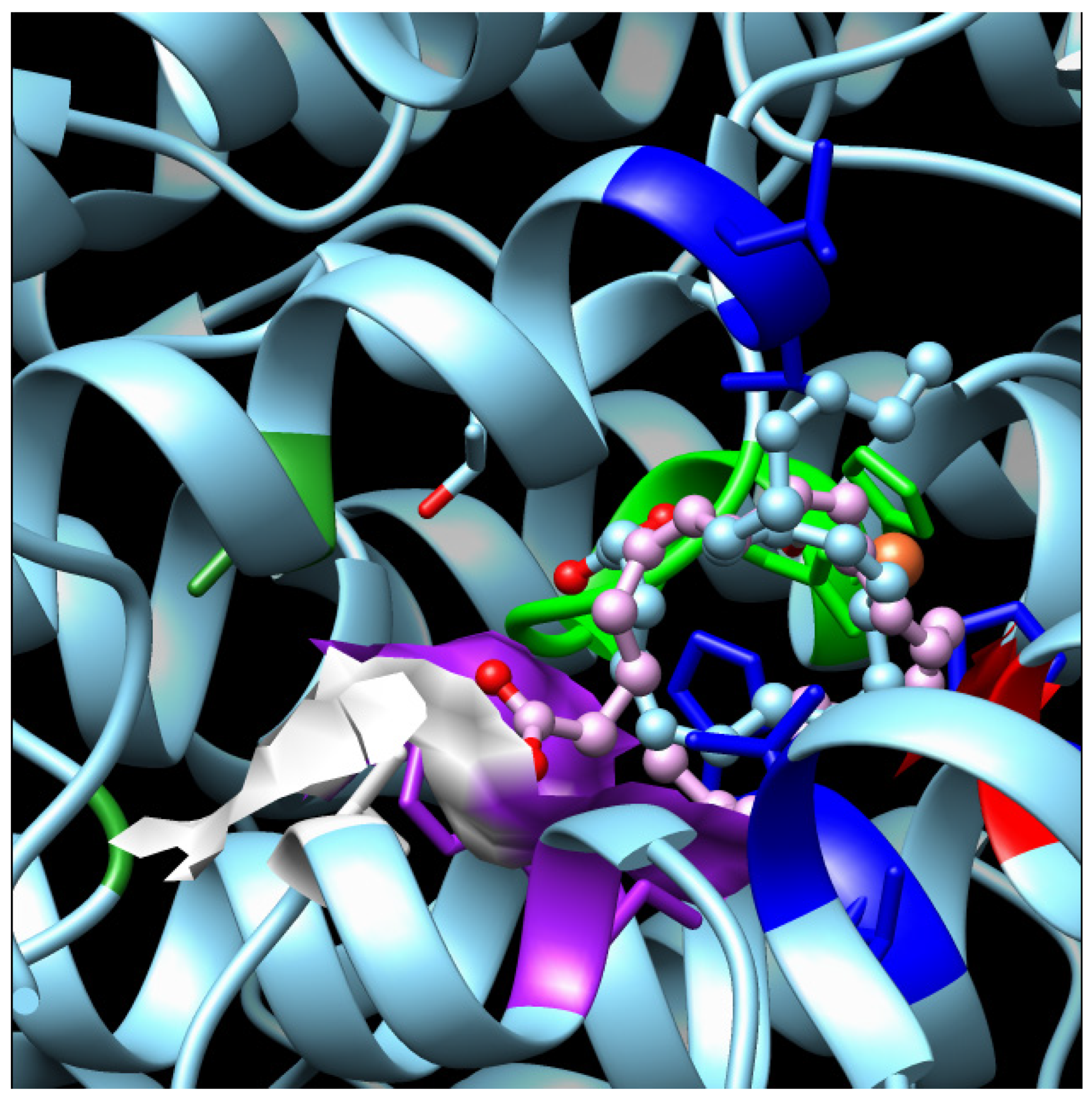 Biomolecules 14 00276 g004