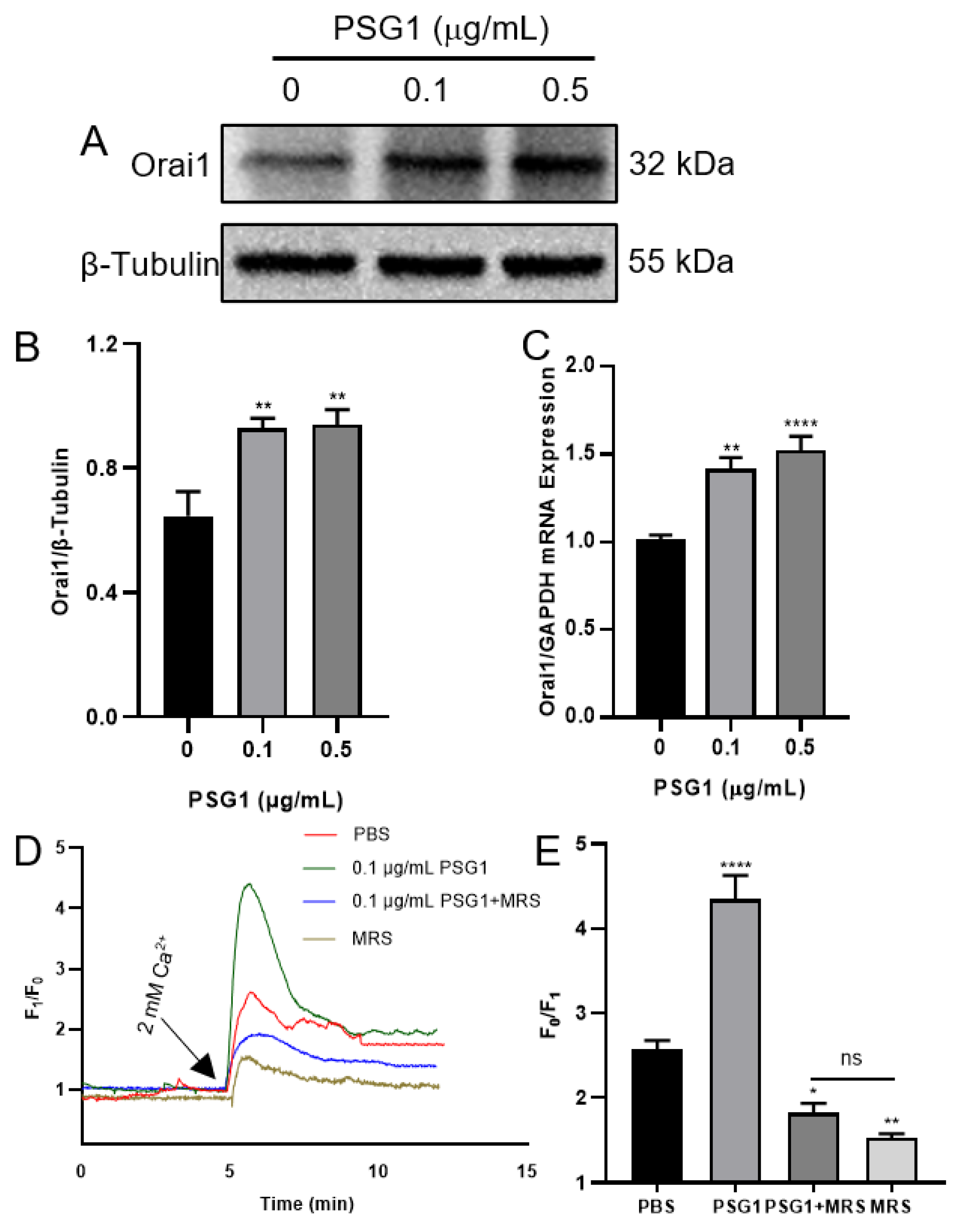 Biomolecules 14 00293 g004