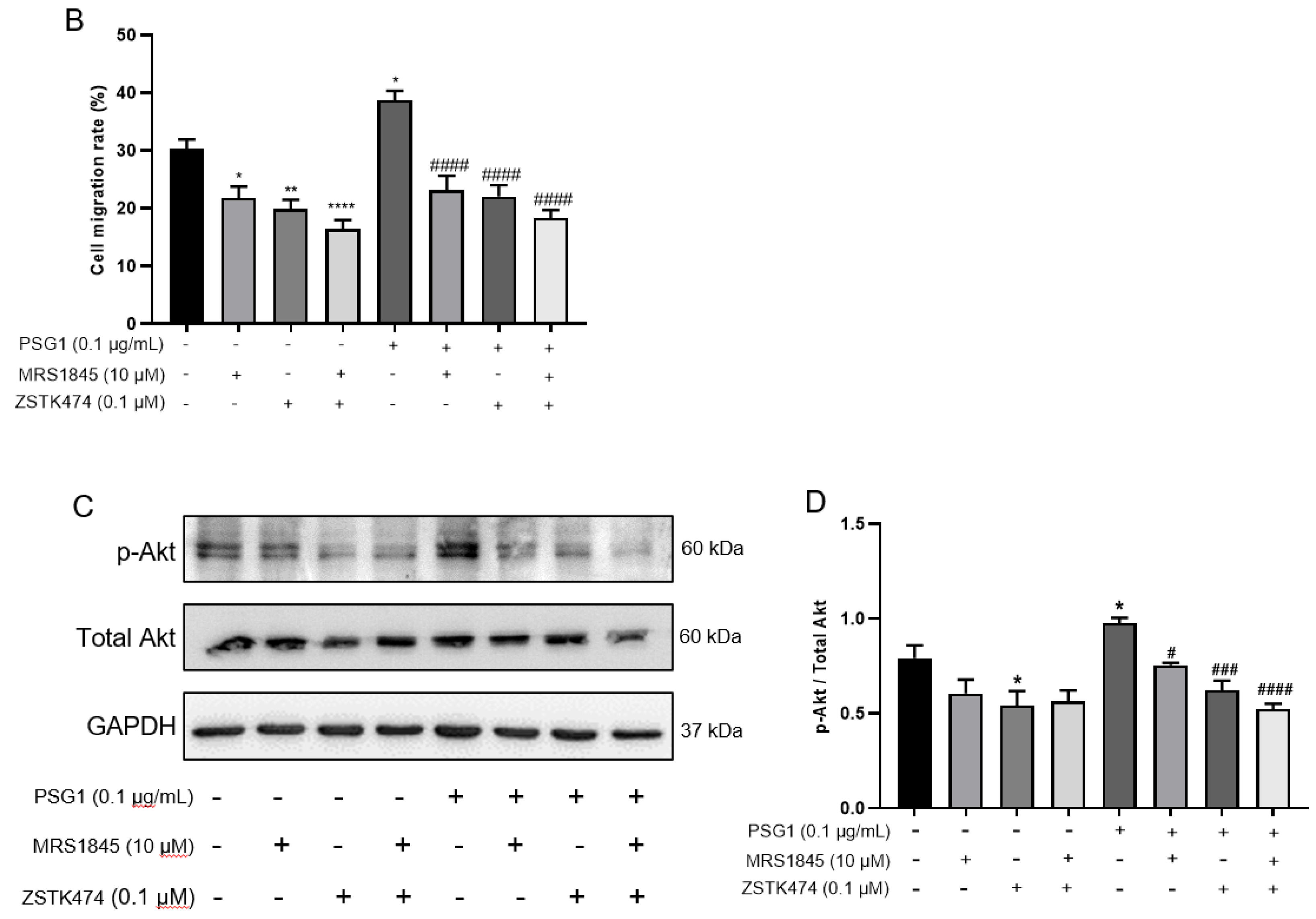 Biomolecules 14 00293 g006b