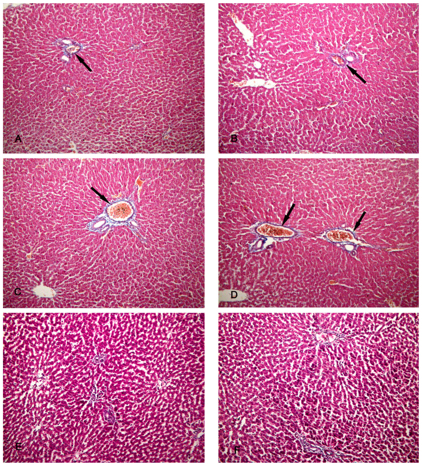 Biomolecules 14 00297 g006